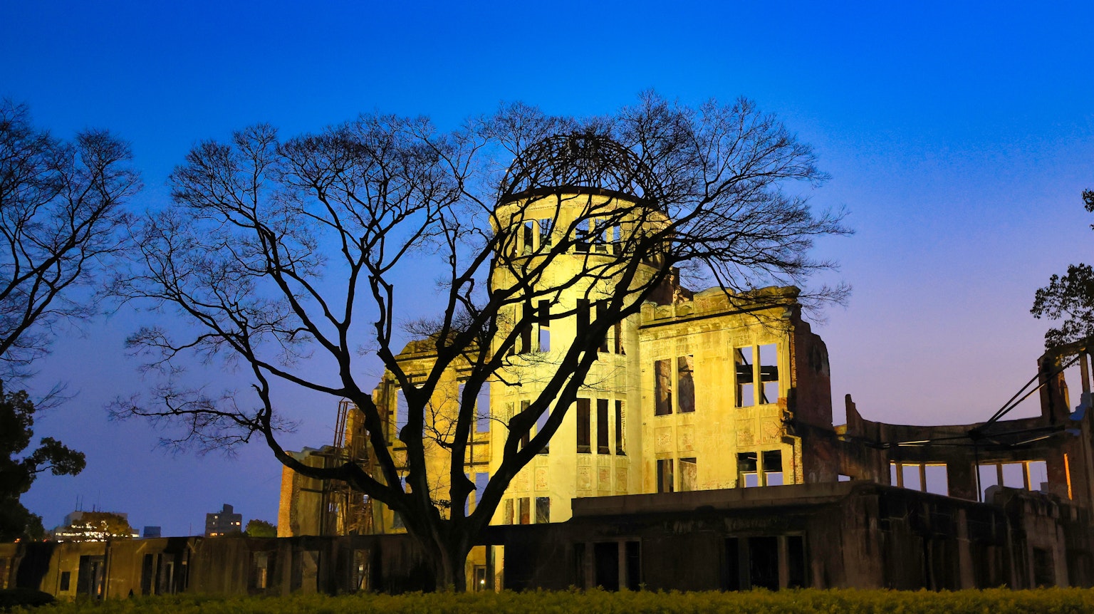 Hiroshima Peace Memorial at dusk with tree silhouette
