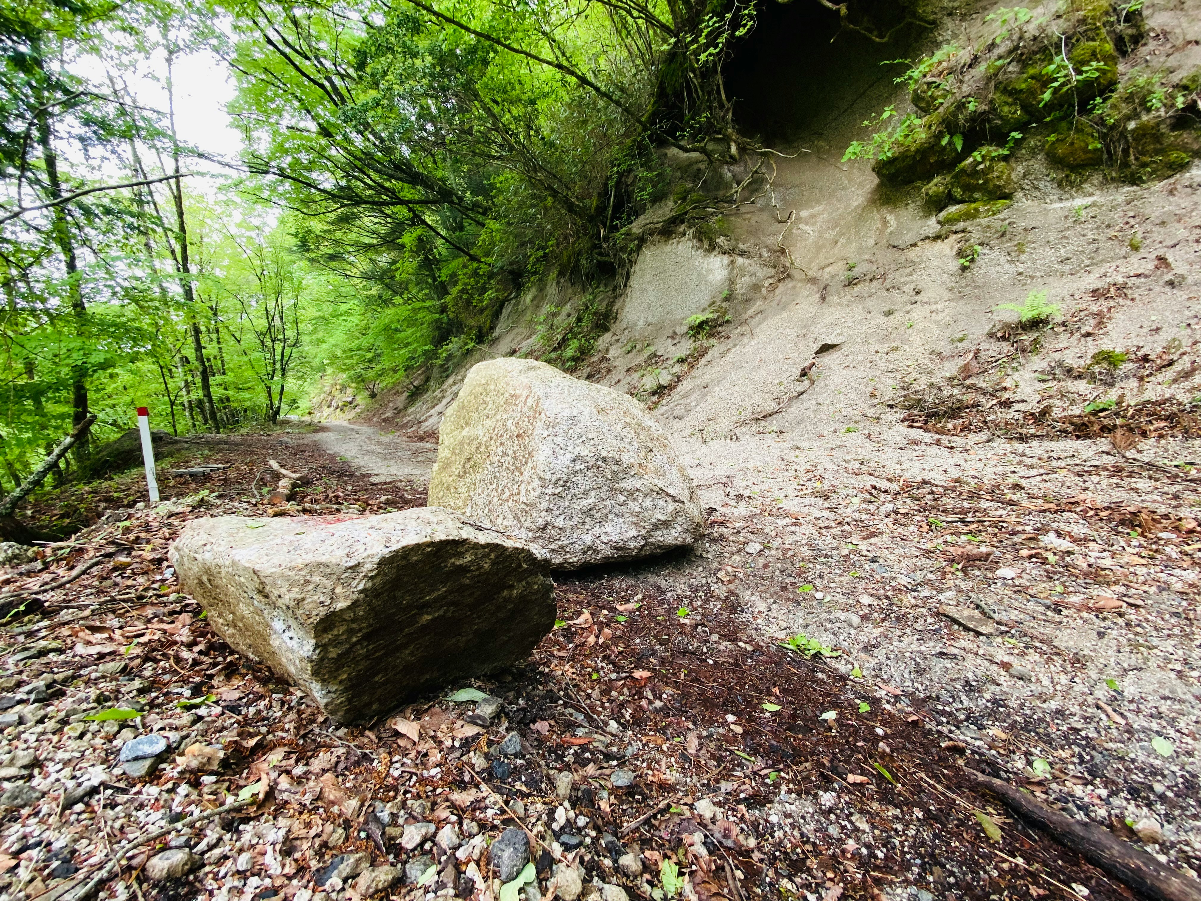 Felssturz auf einem Bergweg mit verstreuten Findlingen und beschädigter Böschung