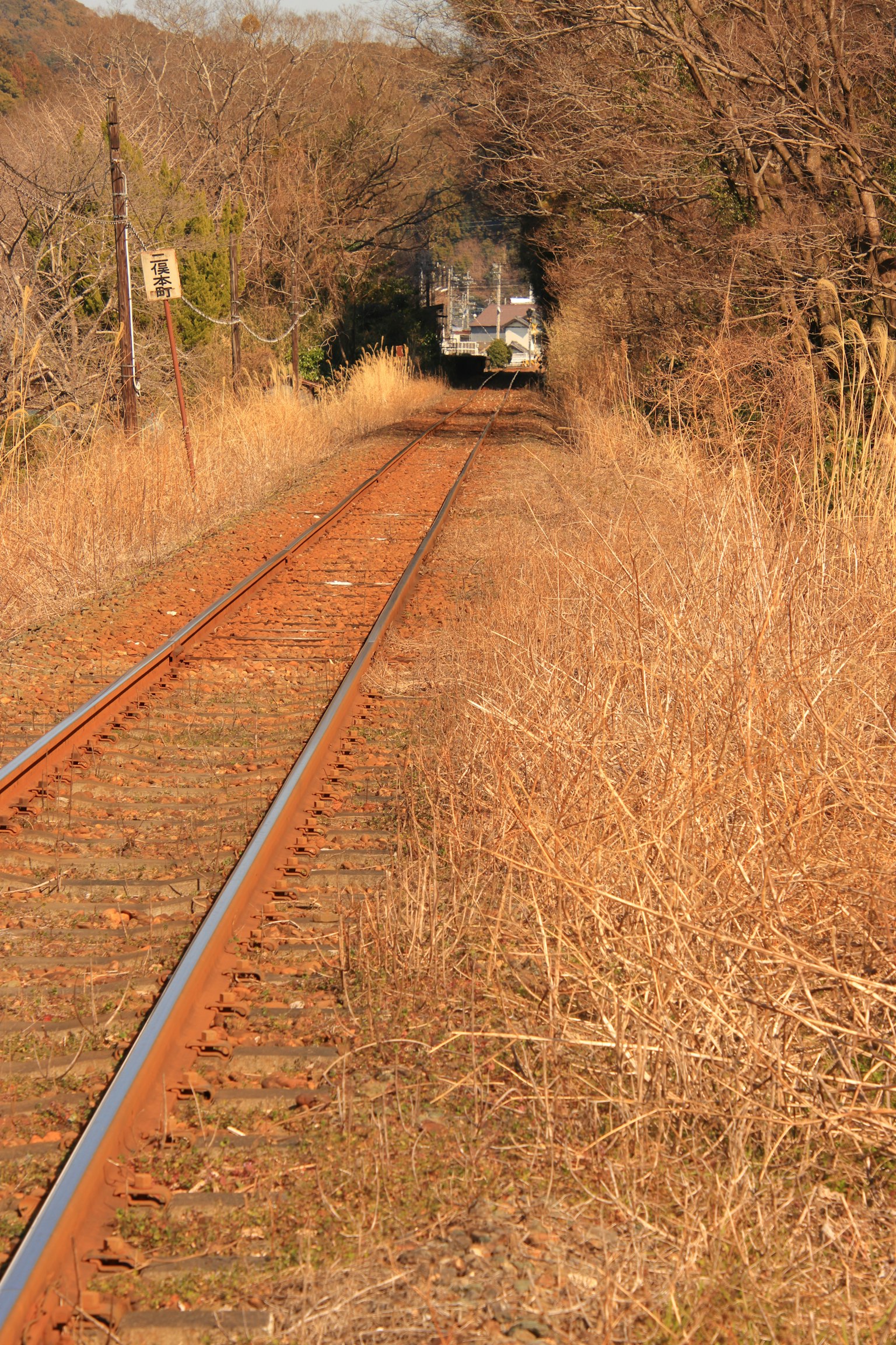 Train approaching along grassy railway tracks