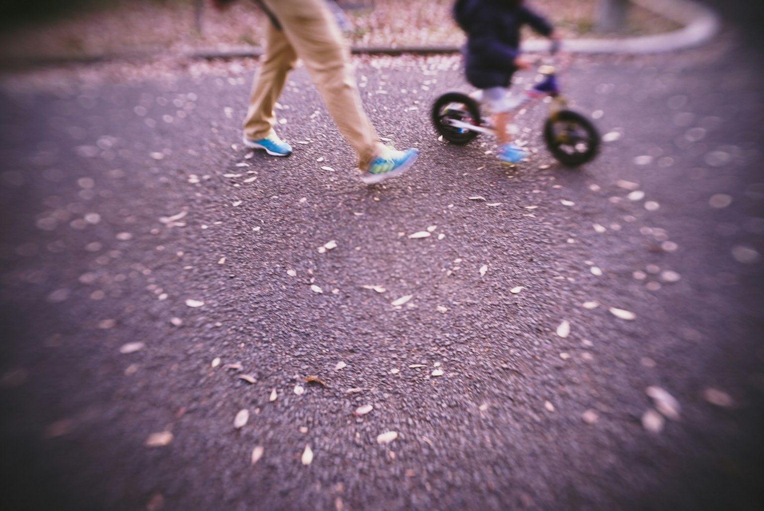 Un adulto y un niño caminando con una bicicleta en un camino pavimentado cubierto de hojas caídas
