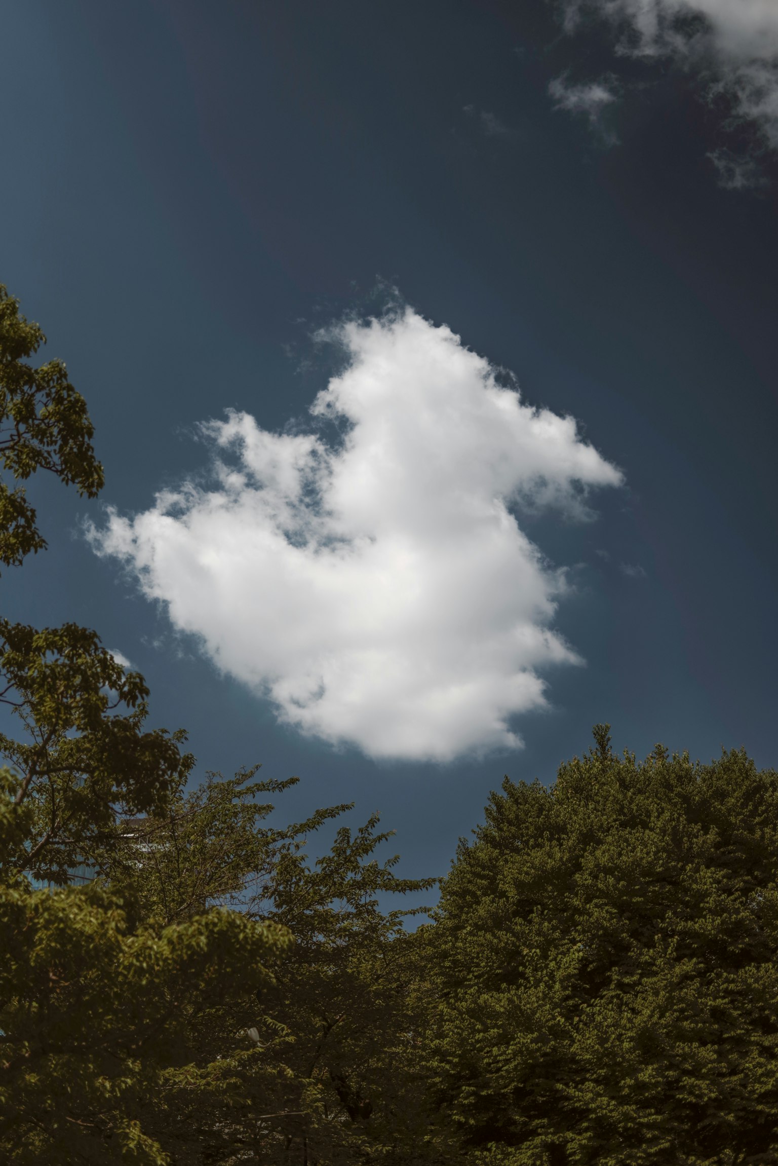 Unique shaped cloud in a blue sky with green trees below