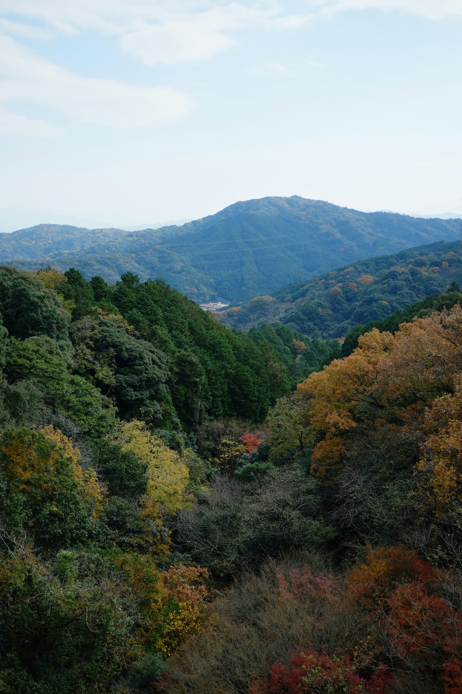 산과 다채로운 나무가 있는 경치 좋은 풍경
