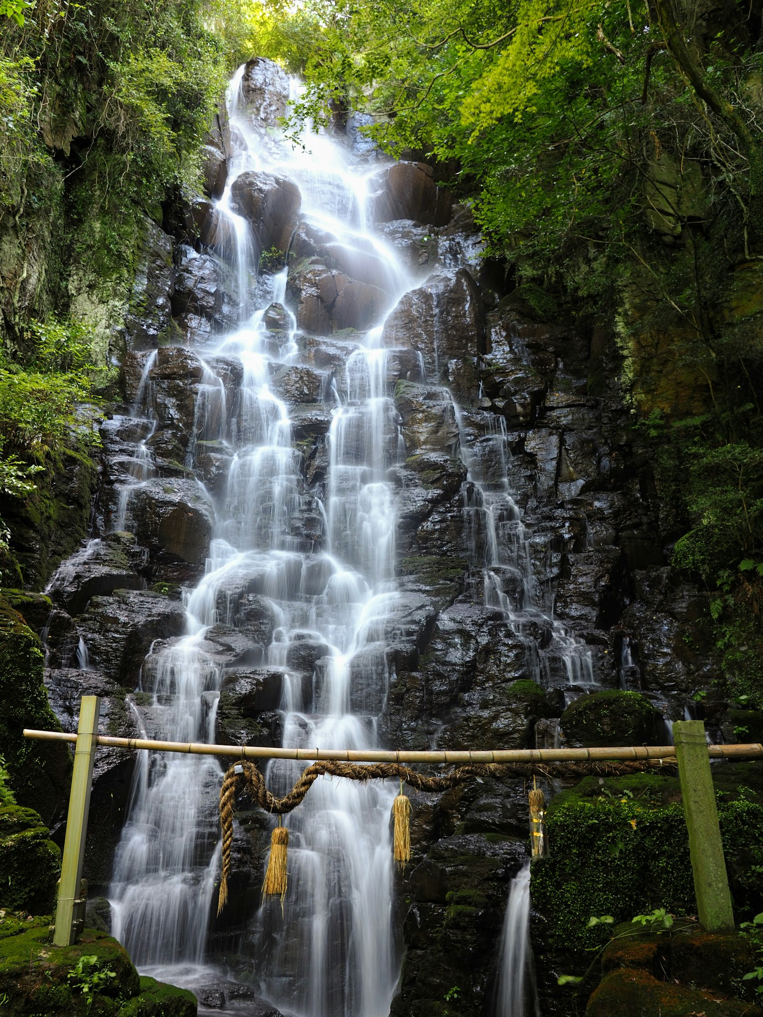 A beautiful waterfall cascading surrounded by greenery with a sacred symbol at the bottom