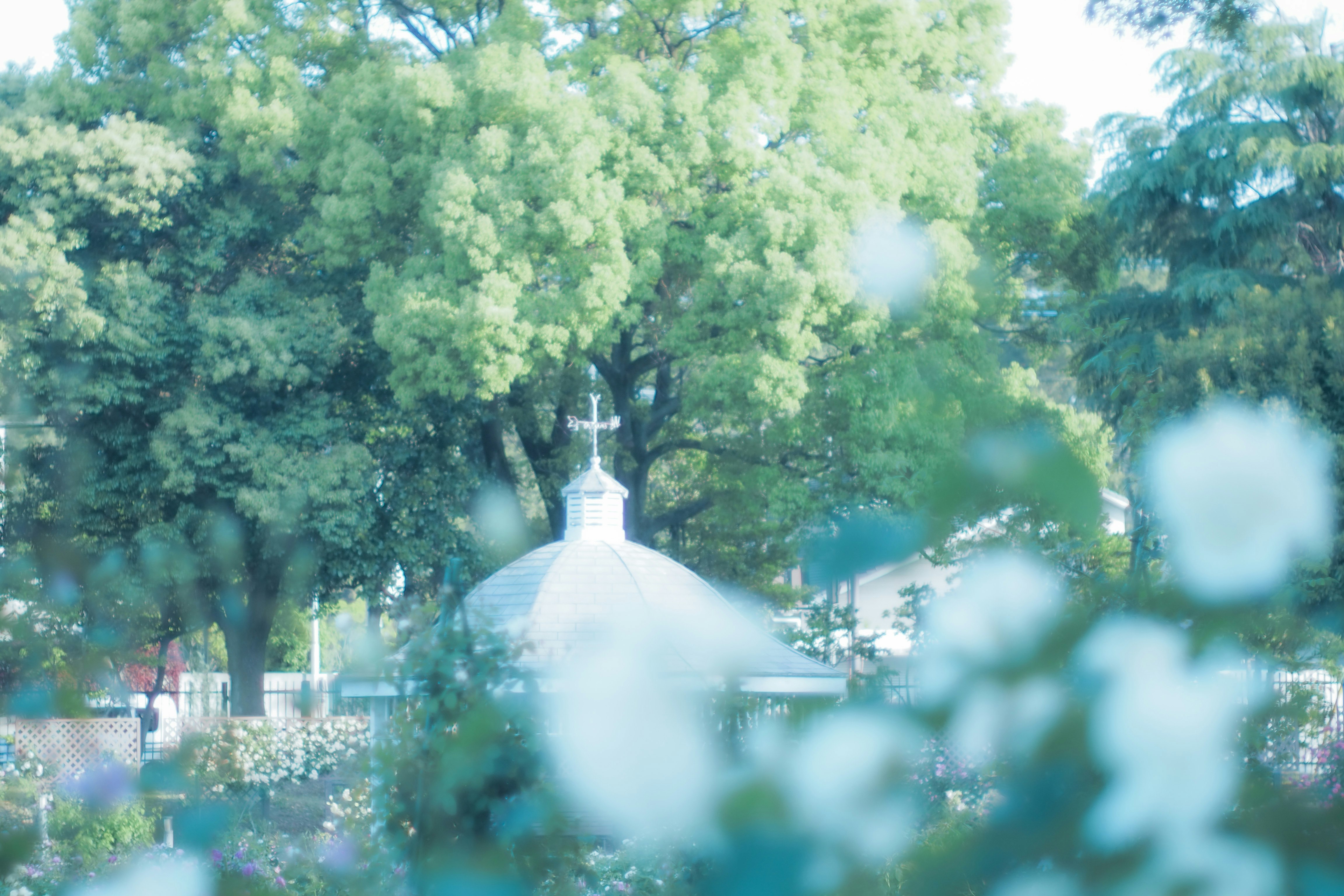 柔和散景中可見的綠色公園與白色塔樓