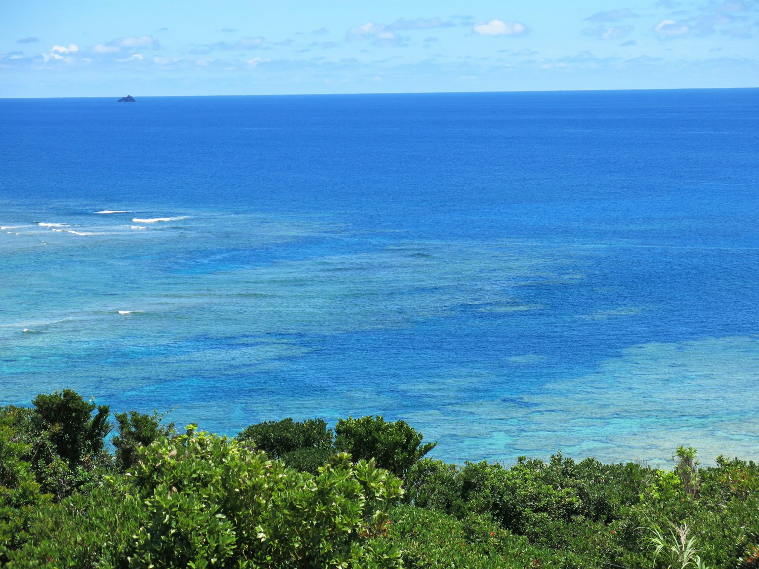 Vista panoramica dell'oceano blu e della vegetazione lussureggiante