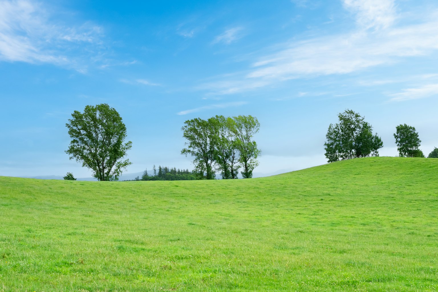 Paesaggio con cielo blu e prato verde con alberi sparsi