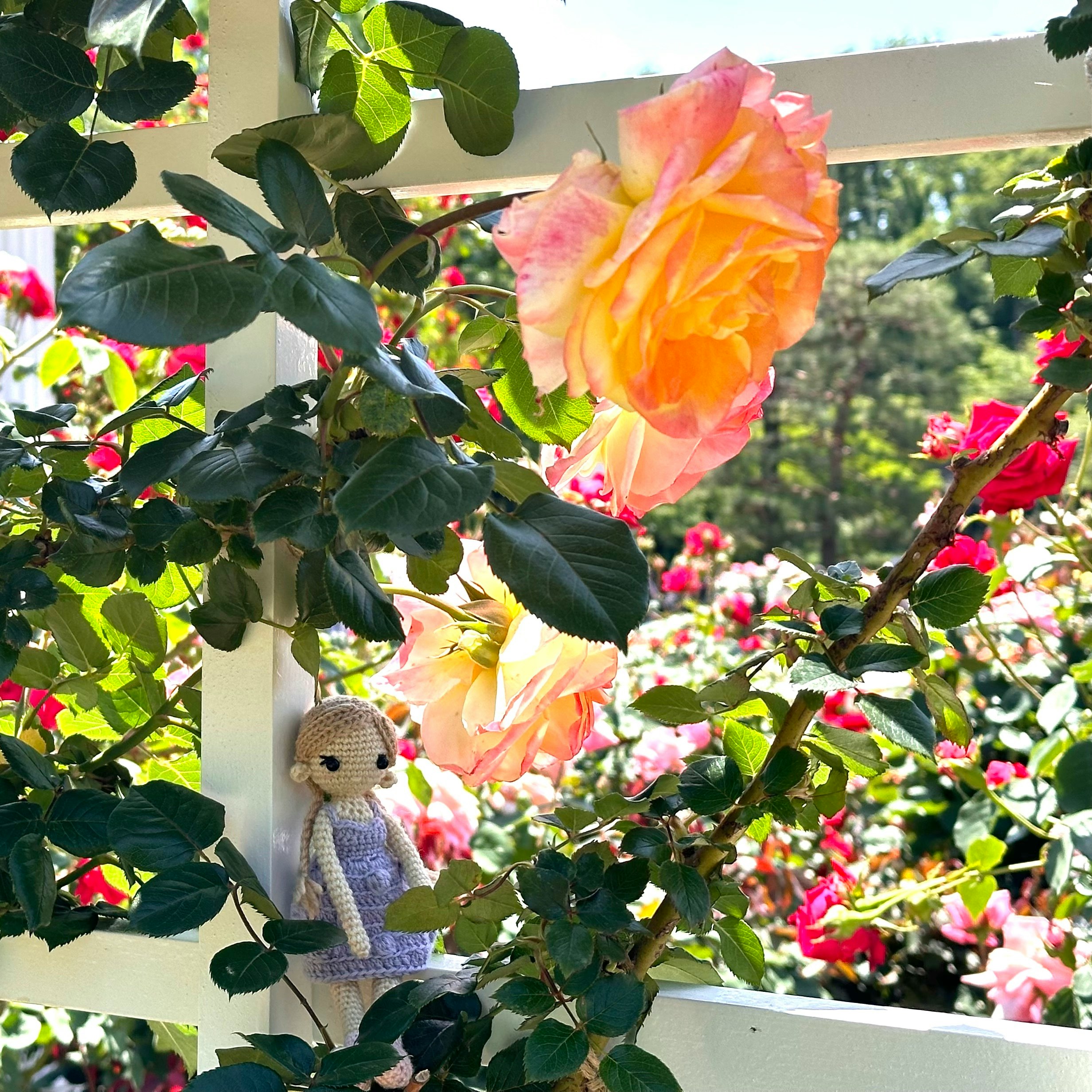 バラの花と葉の間に飾られたあみぐるみ人形