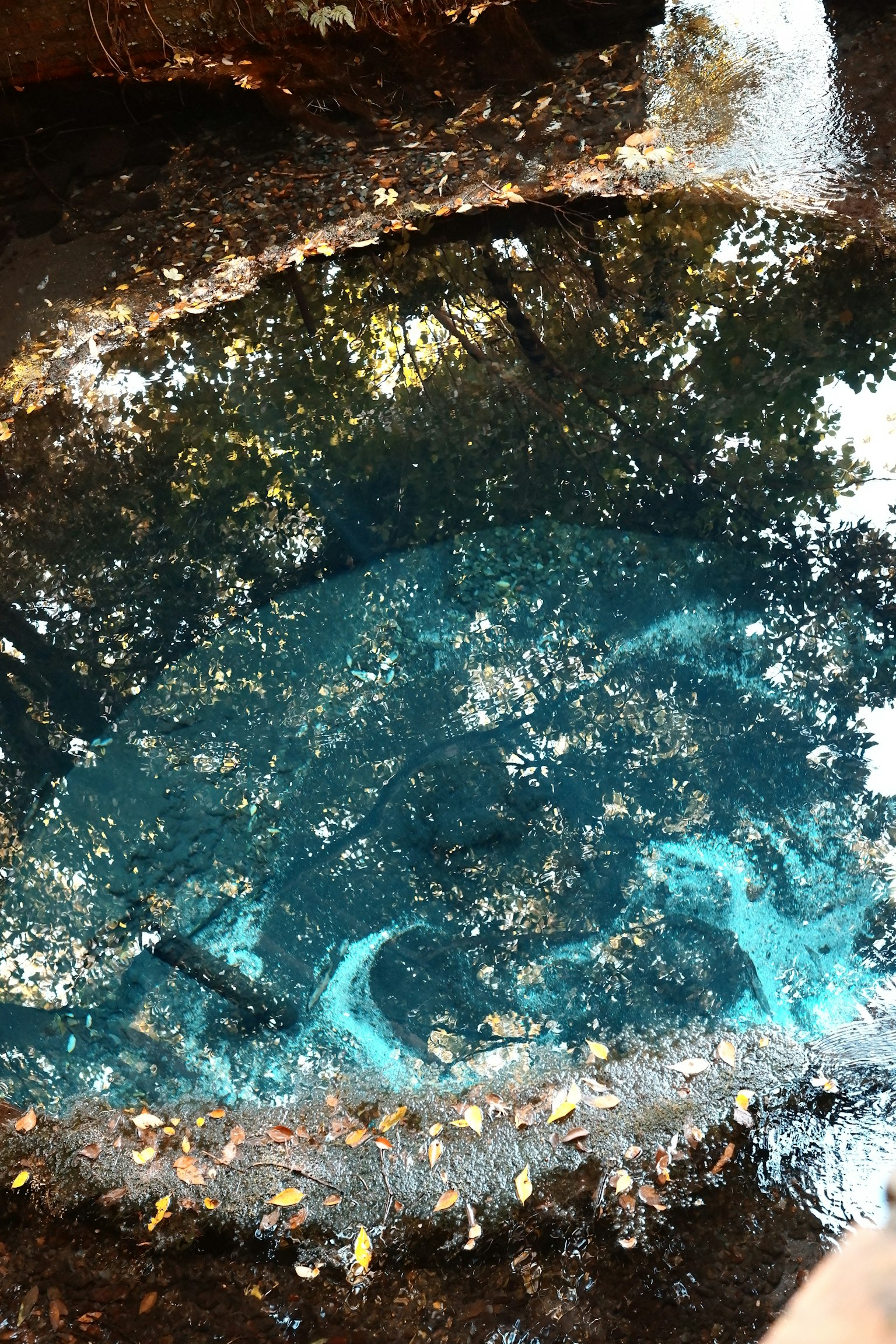 清澈的蓝色水池，周围环绕着自然风景