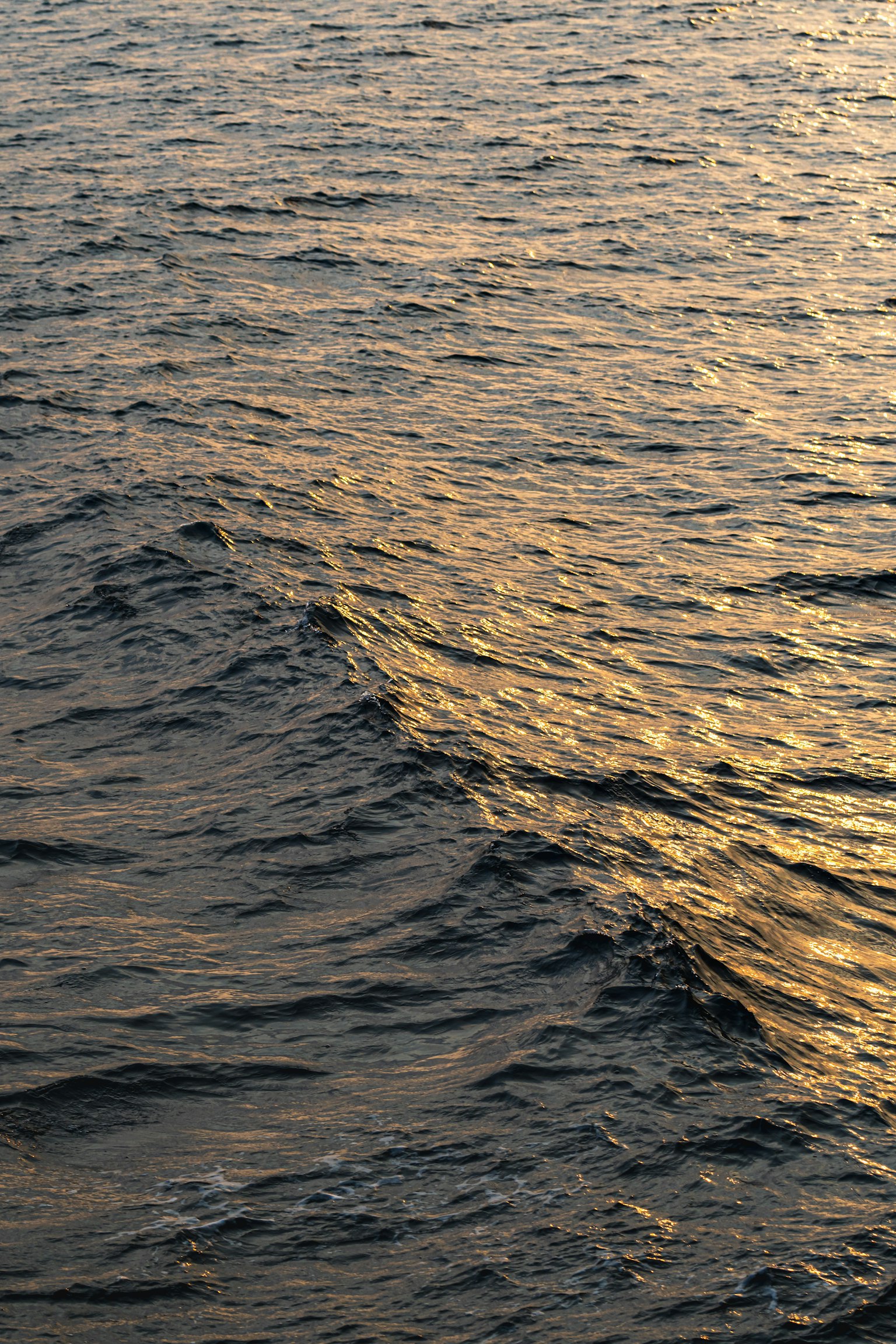 photo-0CH6BHOiB7I9Ra6AEq8g-image