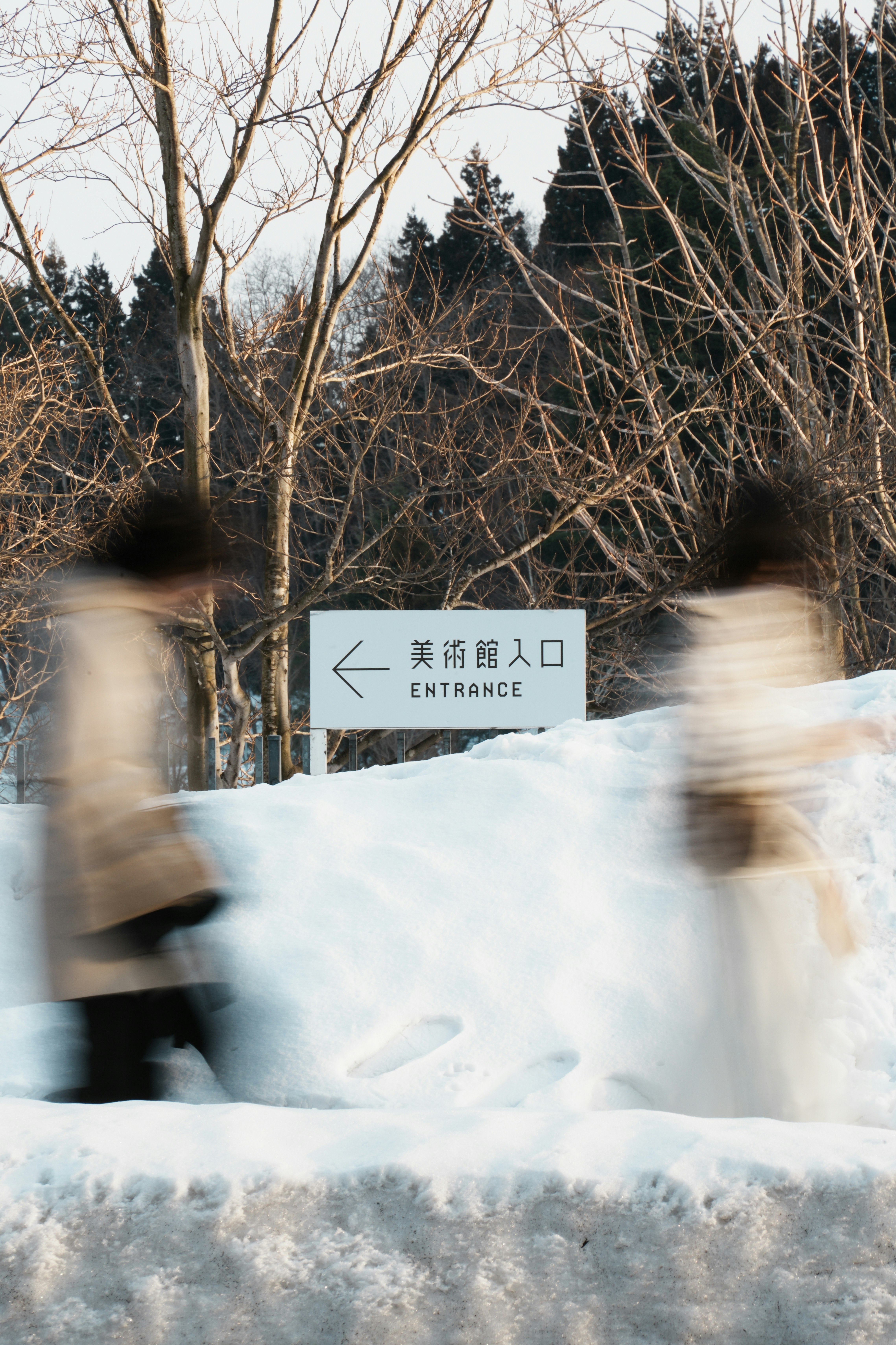 雪に覆われた美術館の入口