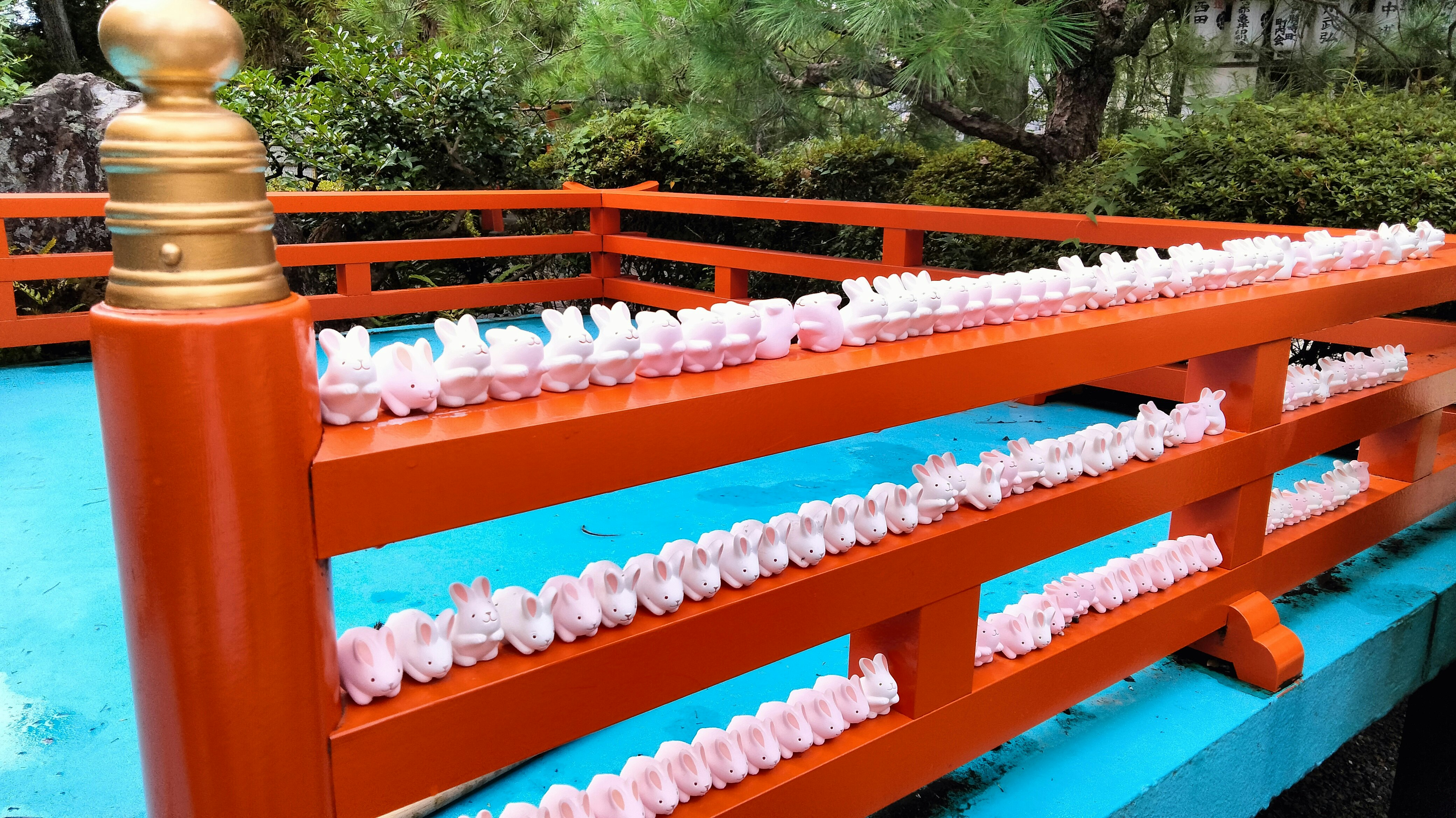 white flower garlands lined along an orange railing