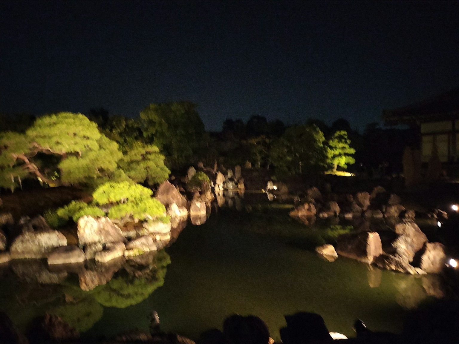 밤의 정원 풍경과 연못과 돌