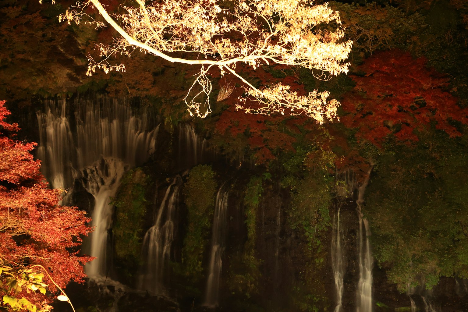 Beautiful nighttime scene featuring illuminated waterfalls and autumn foliage