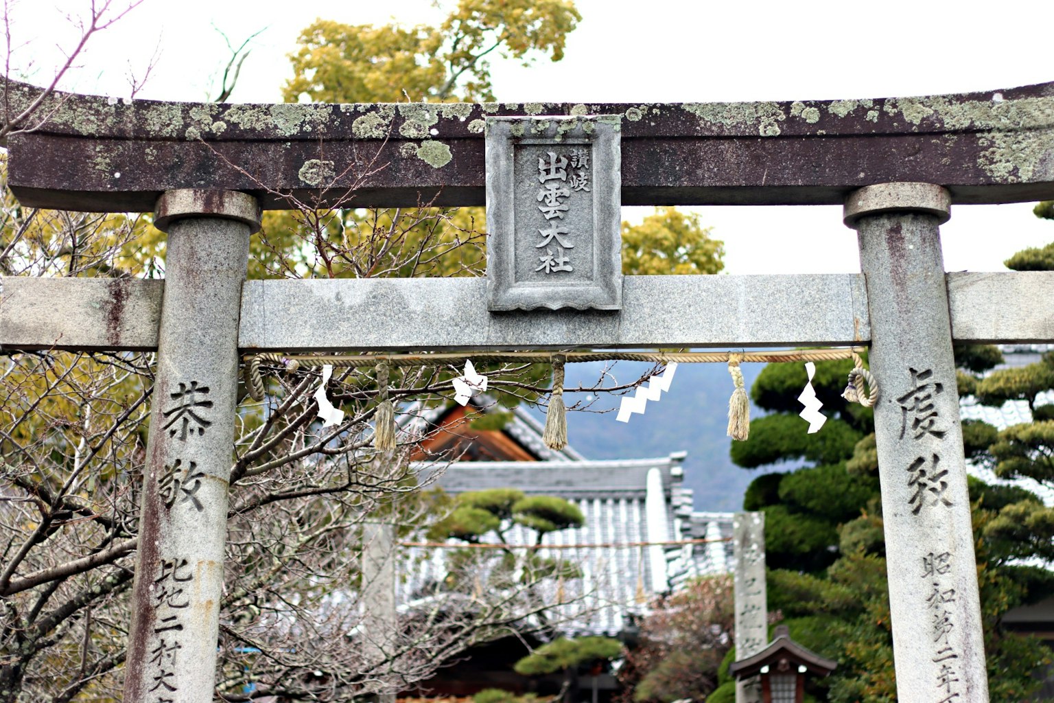 Alter Torii-Tor mit Bäumen im Hintergrund
