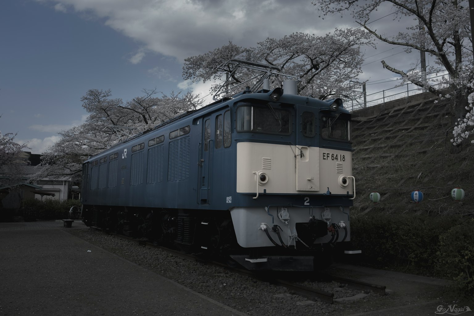 Blue locomotive parked near cherry blossom trees