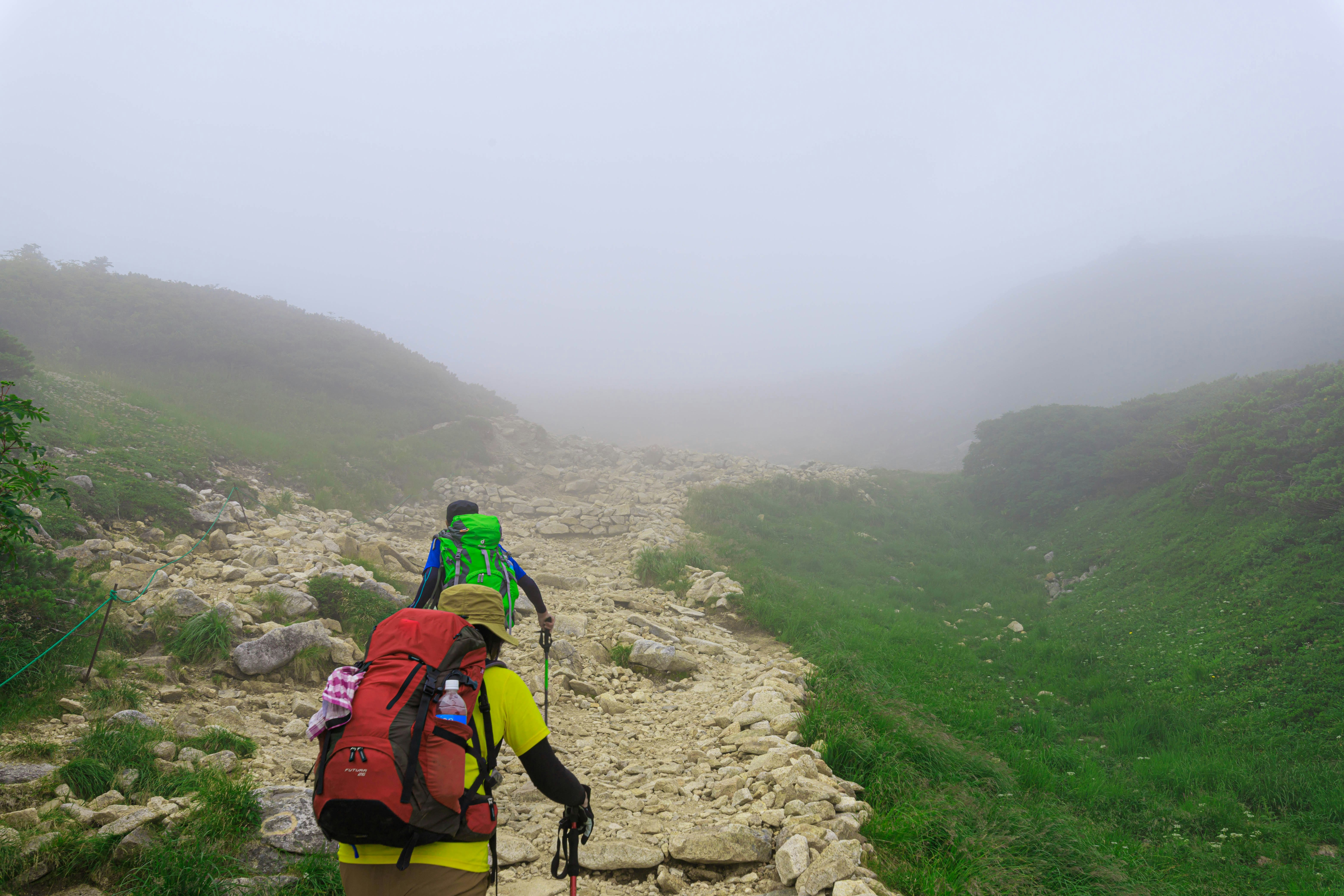 霧の山道を歩く登山者の背中