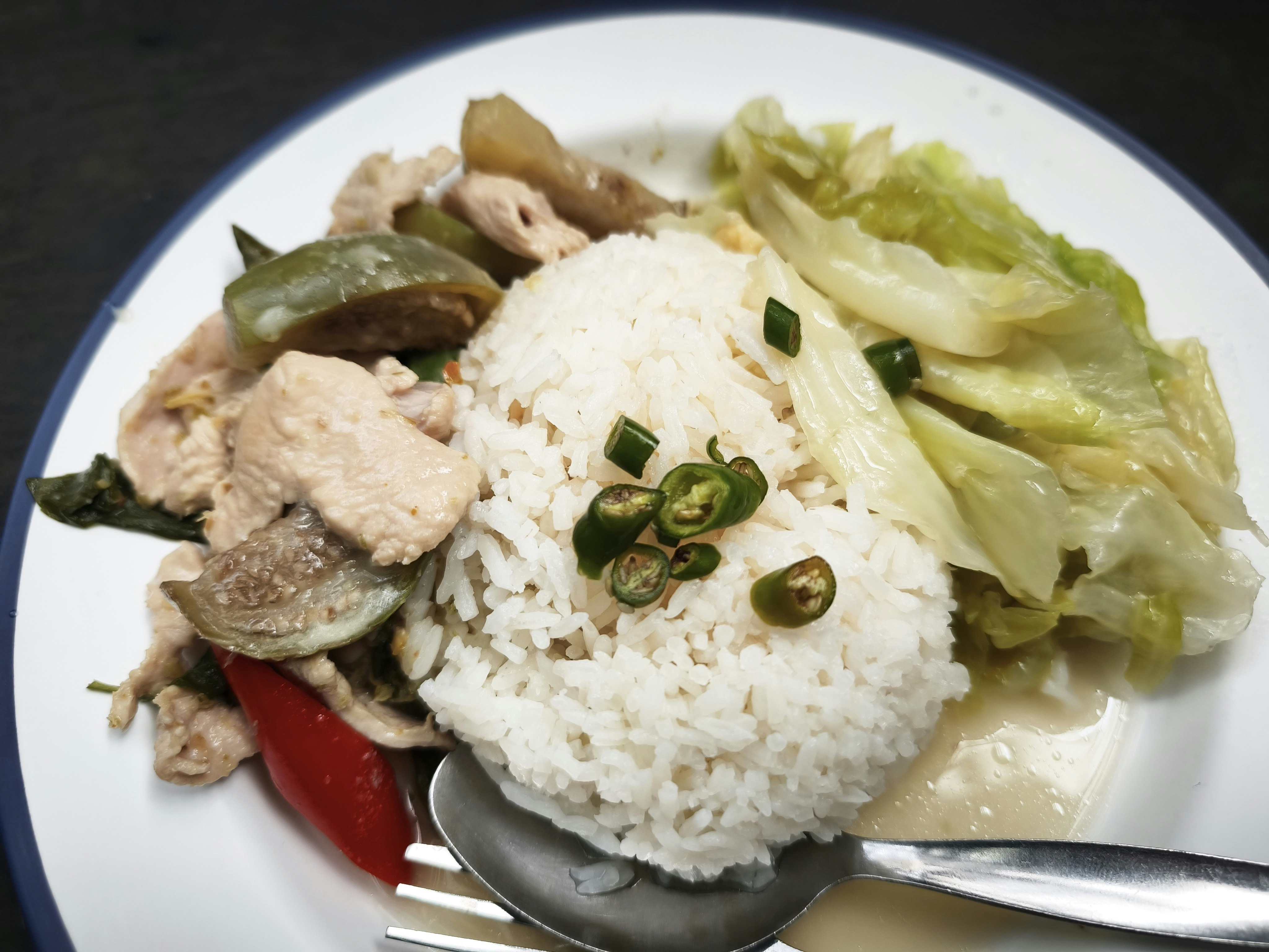 白いご飯と鶏肉、白菜のプレート