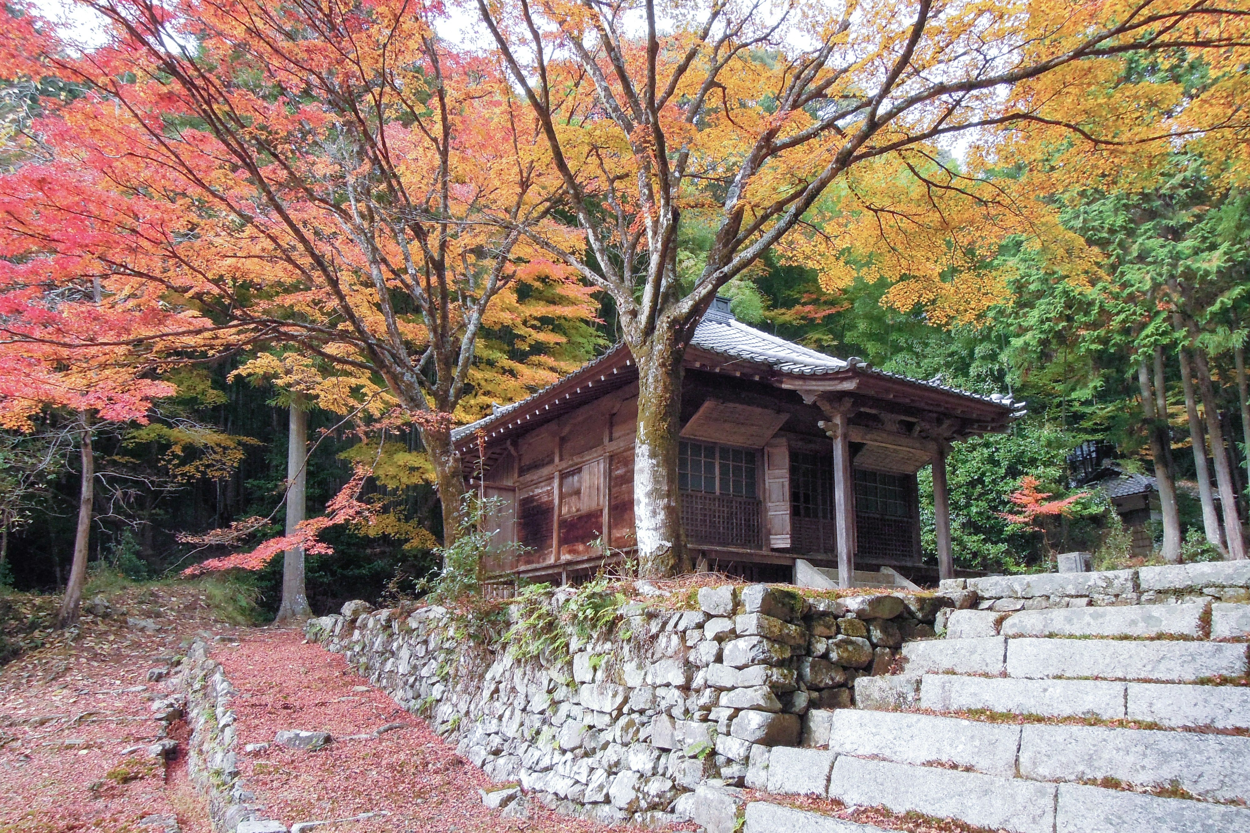 紅葉と石垣の小さな寺院建物の景観