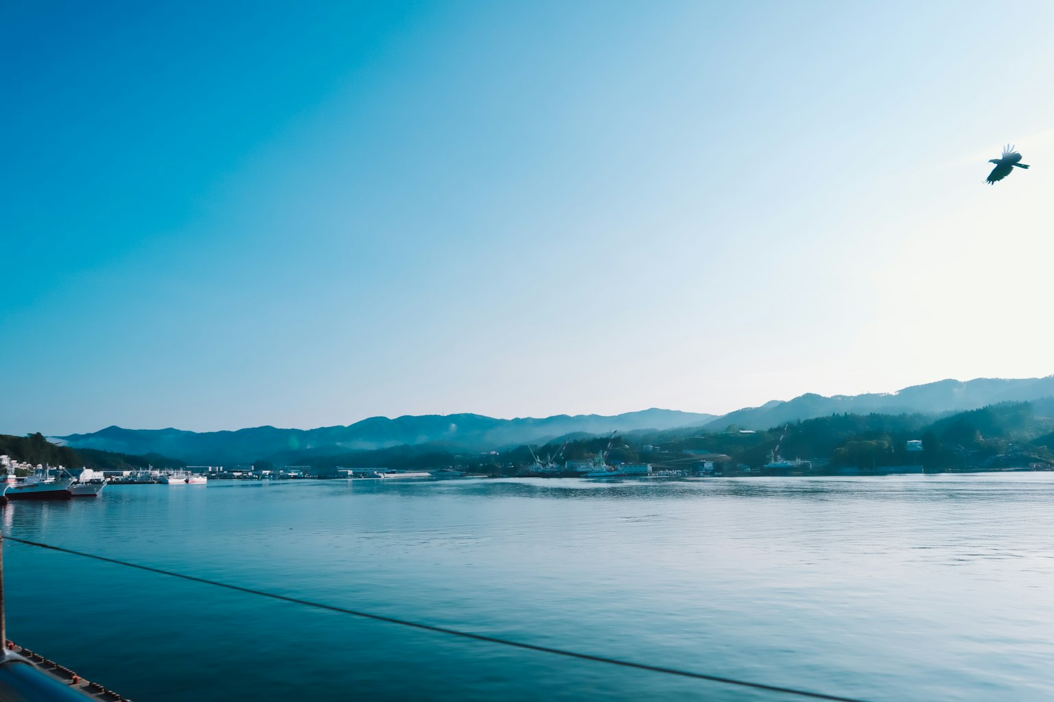 Scenic view of a tranquil sea under a blue sky with a bird flying and mountains in the background