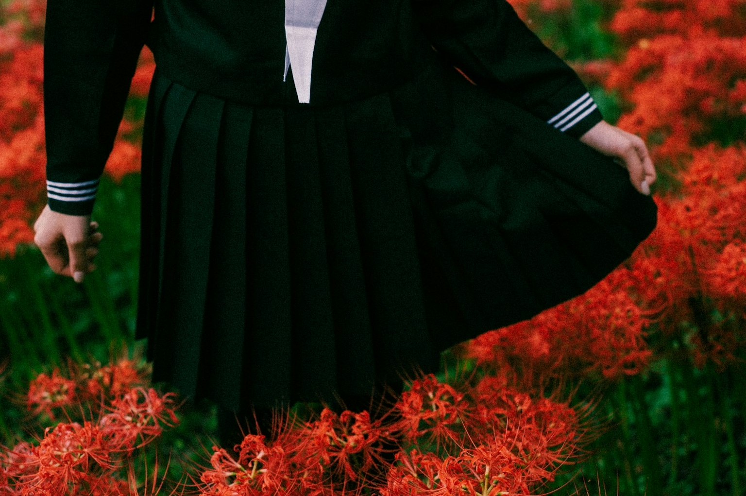 A person in a black uniform standing among red spider lilies