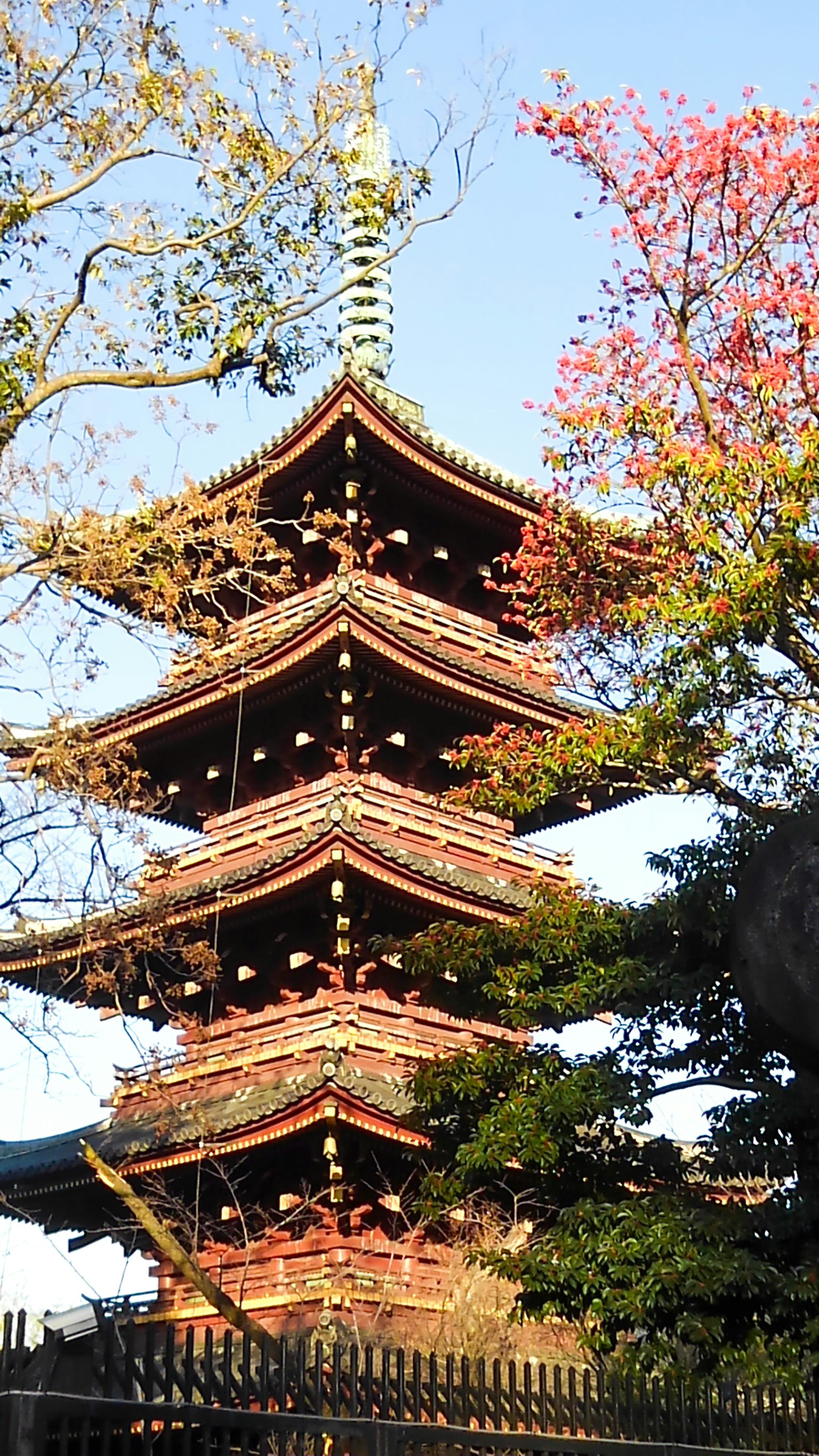 Bella pagoda a cinque piani circondata da foglie autunnali