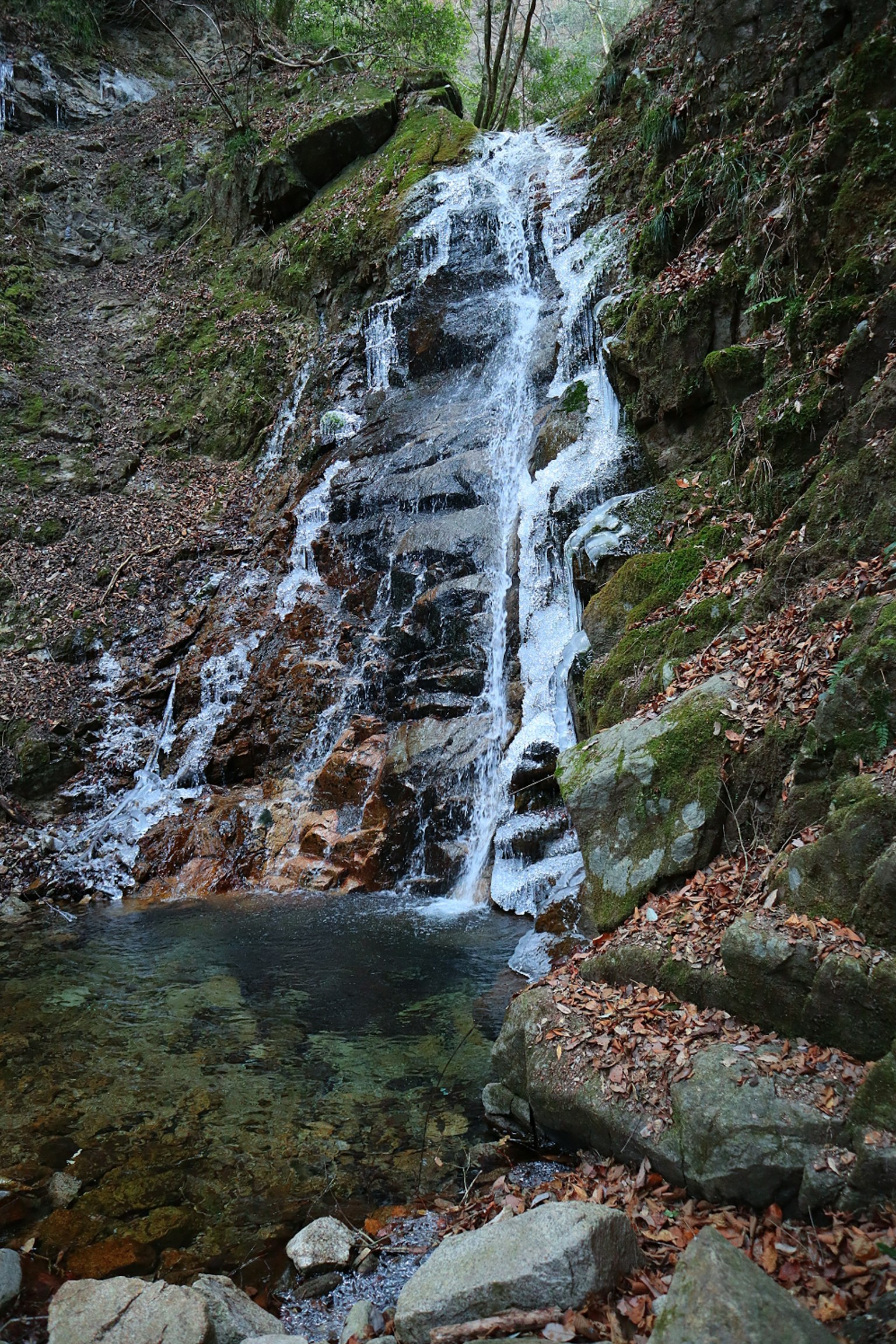 Une petite cascade se déversant dans une piscine claire entourée de rochers et de feuilles d'automne