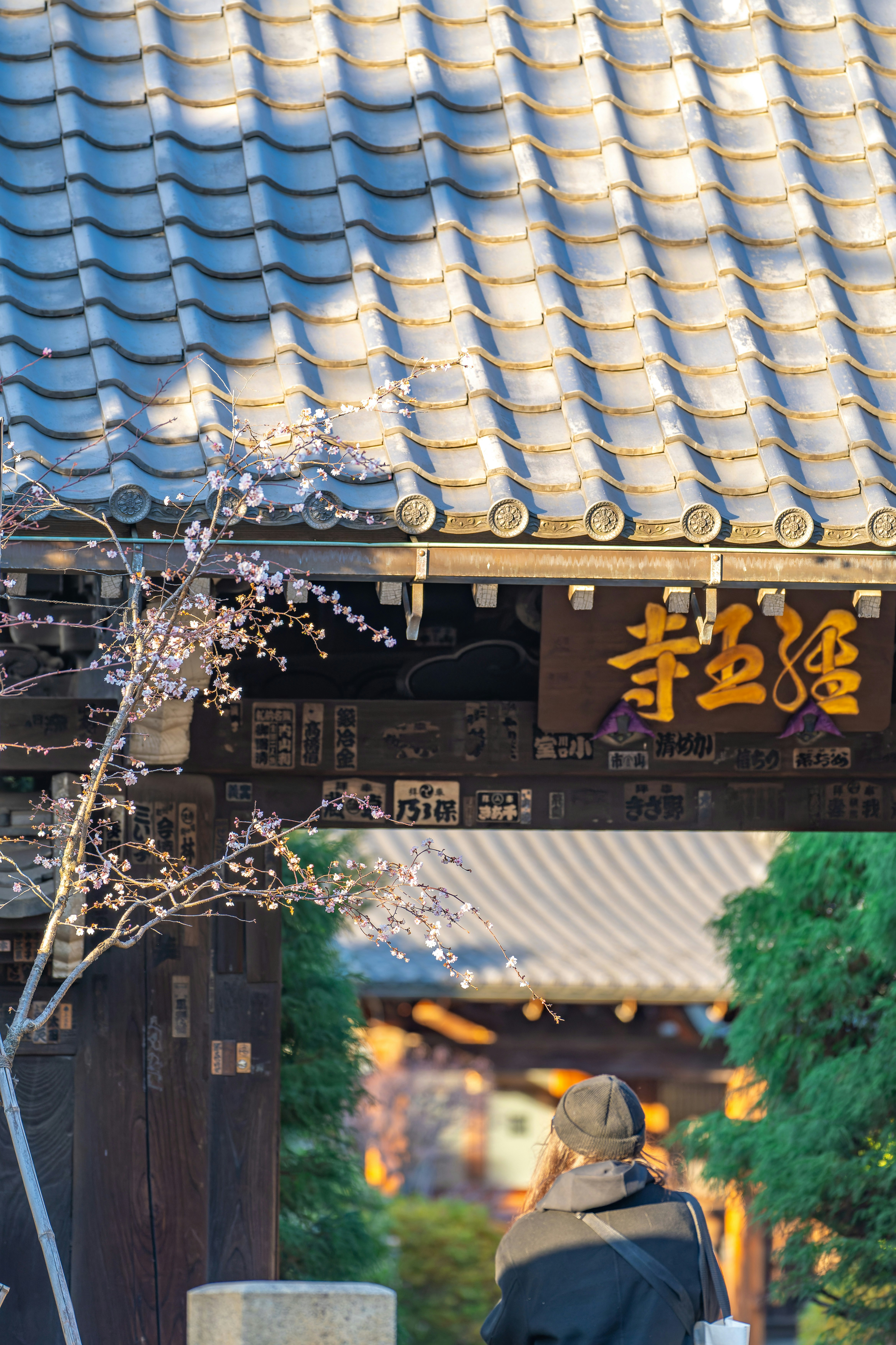 春天的谷中寺廟屋簷與燈籠街景