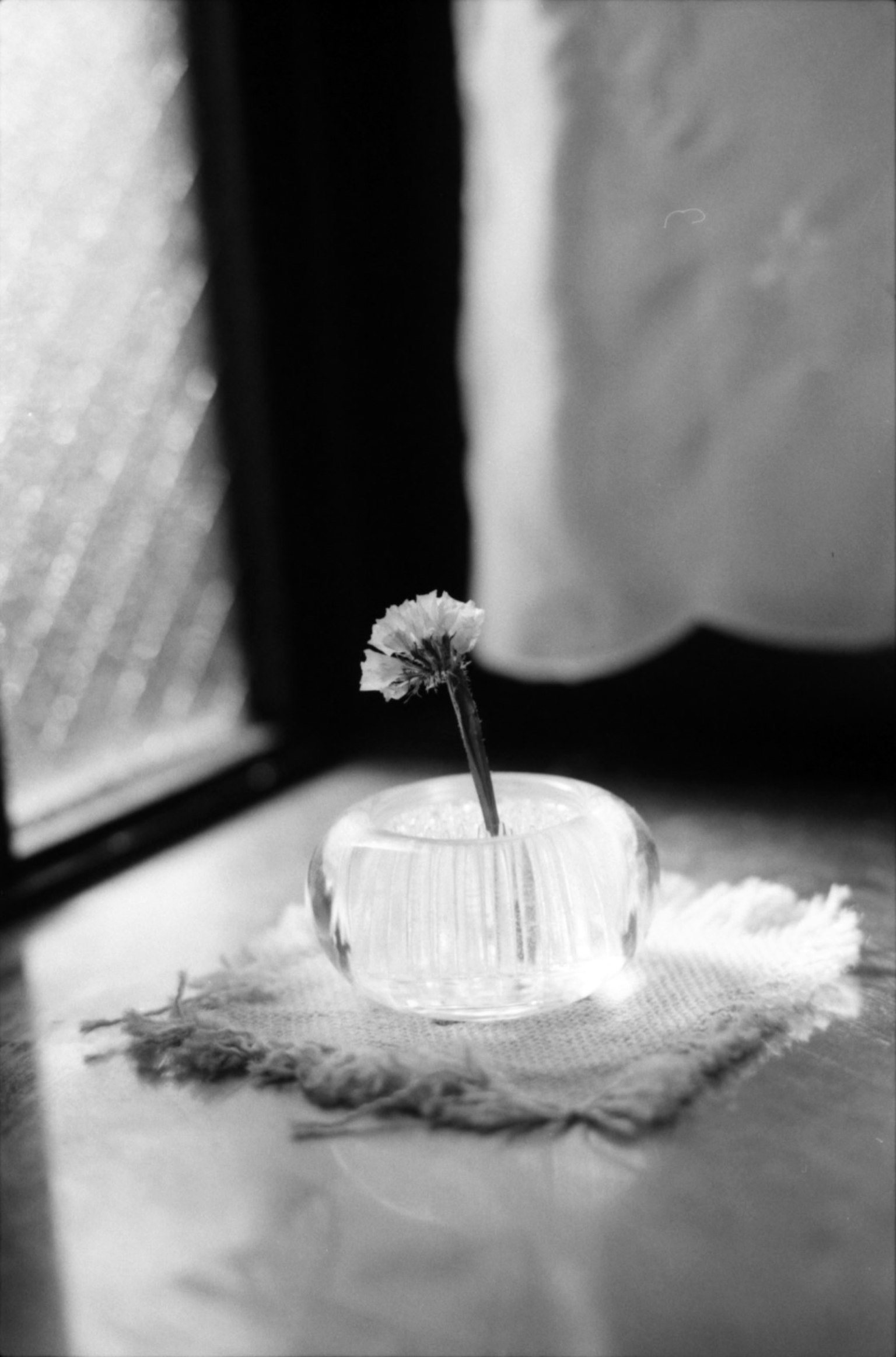 Immagine in bianco e nero di un vaso trasparente con un singolo fiore