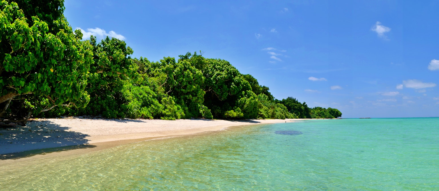 Plage magnifique avec mer bleue et sable blanc arbres verts luxuriants le long du rivage