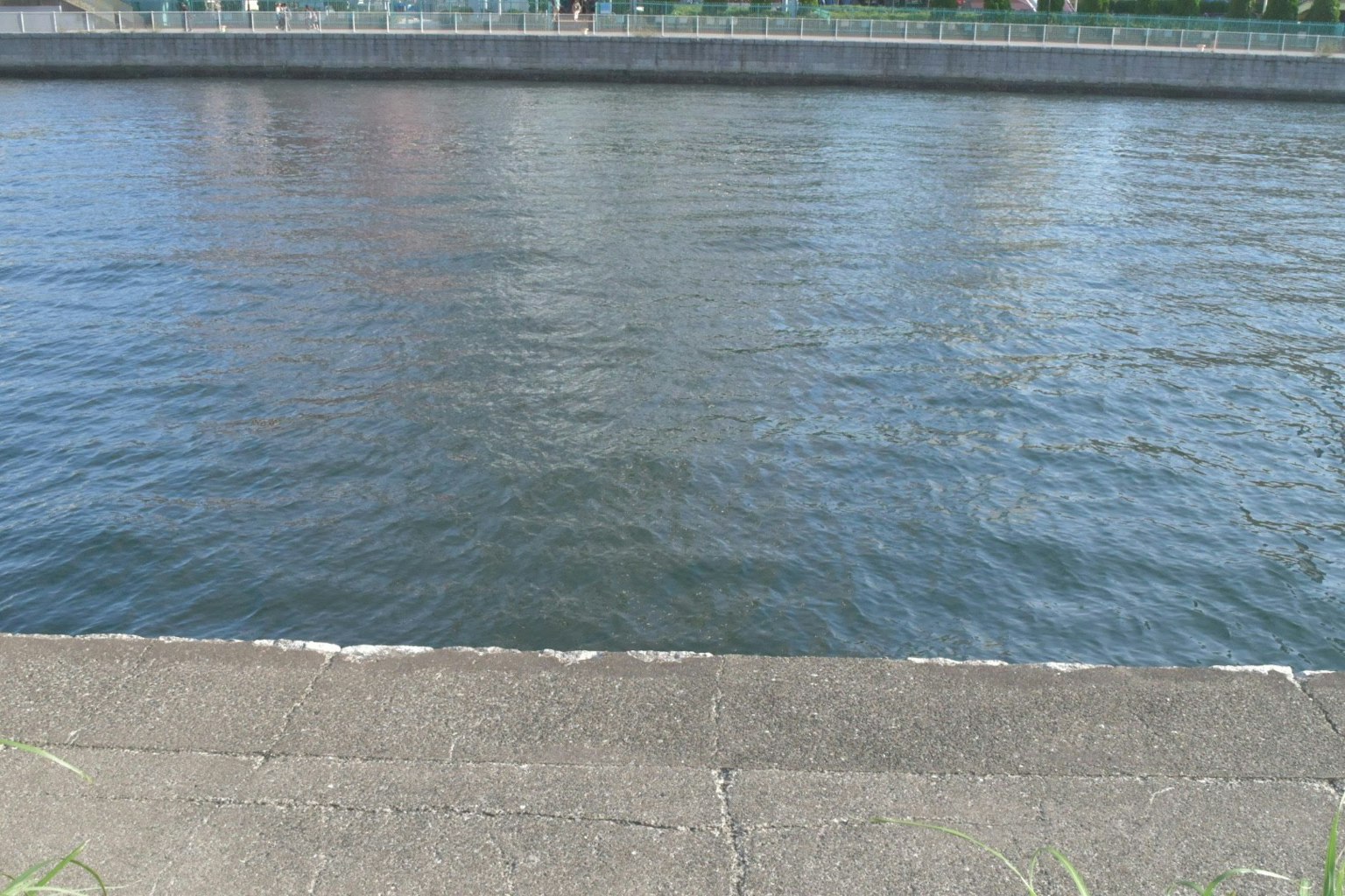 Surface de rivière calme avec berge en béton visible