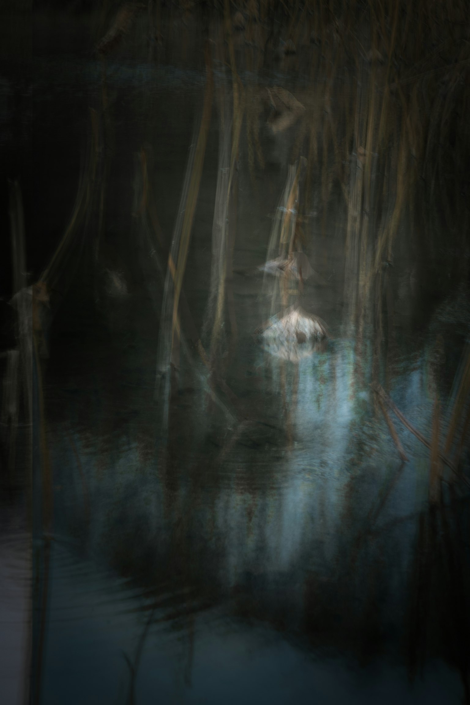 Blurred reflections of plants on a dark water surface