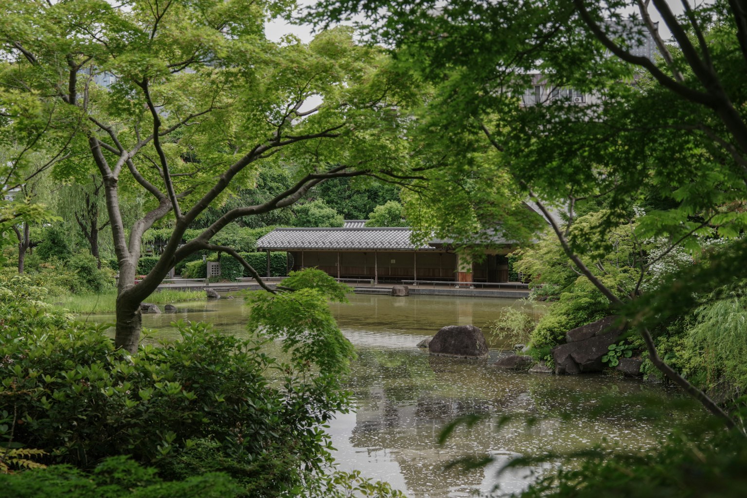 Traditional Japanese building surrounded by lush greenery and a serene pond