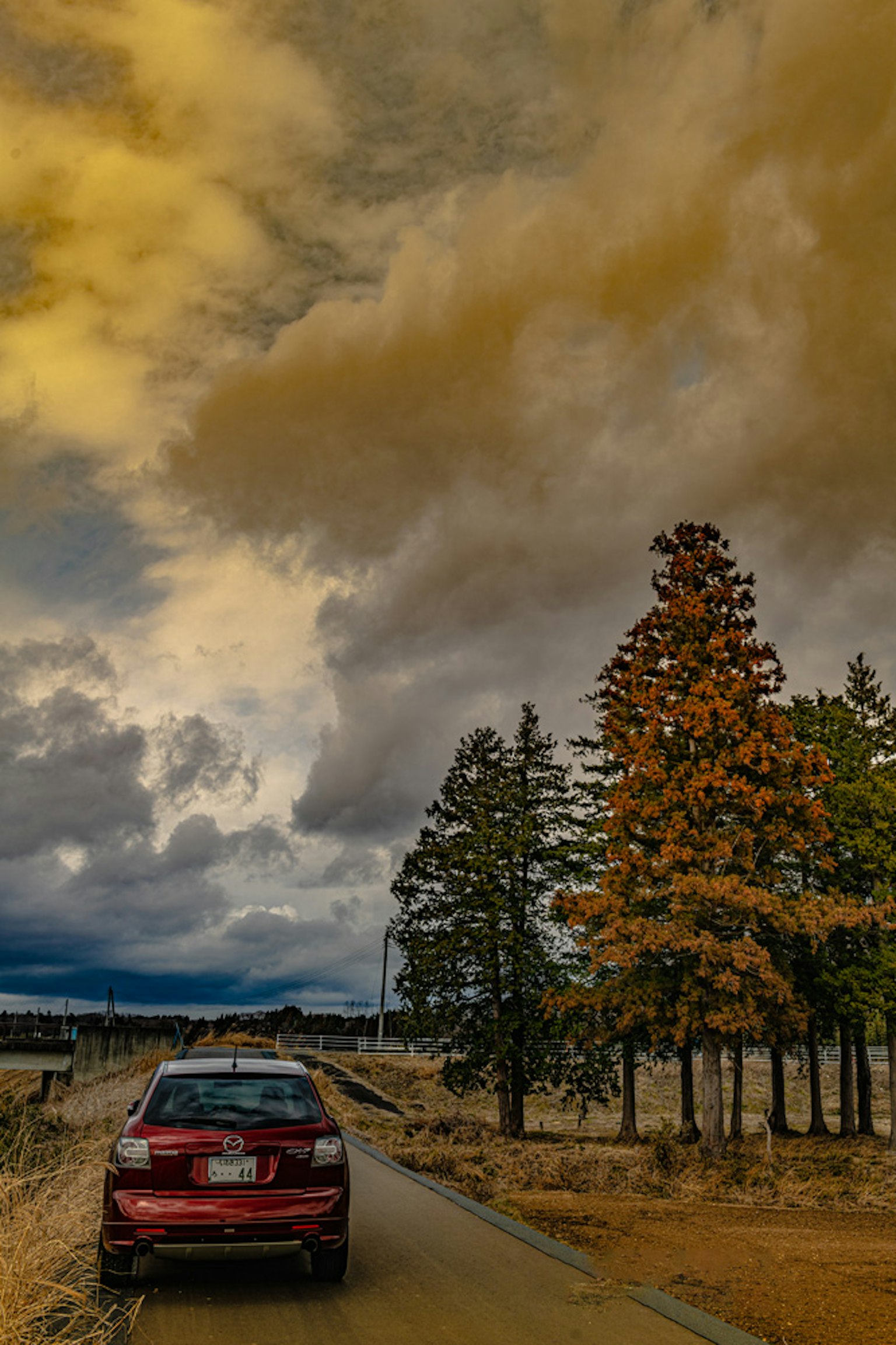 Paisaje con un coche rojo y árboles de otoño