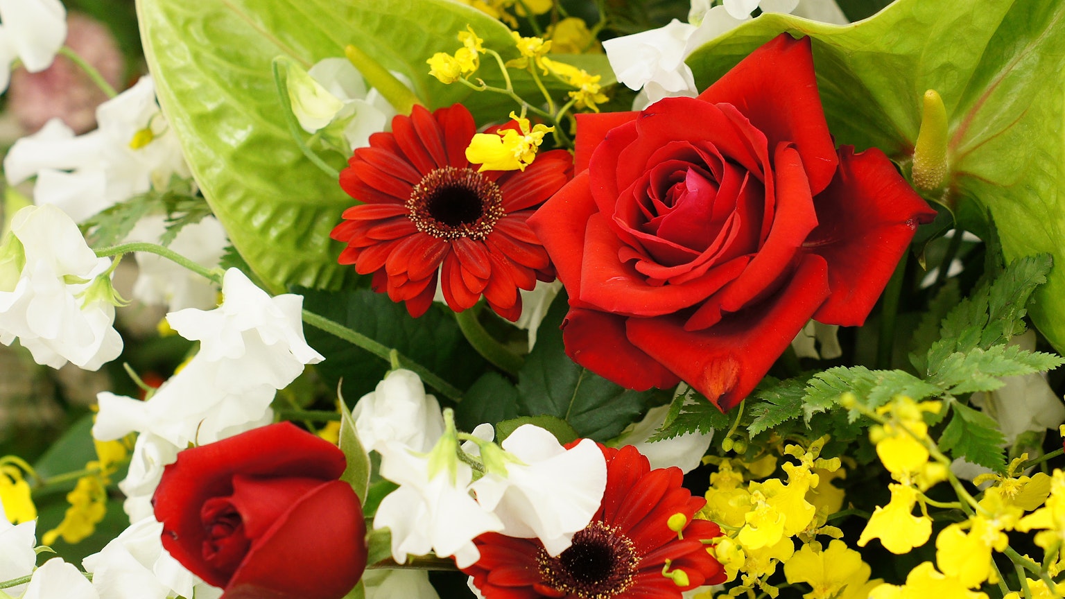A beautiful bouquet featuring red roses and white flowers