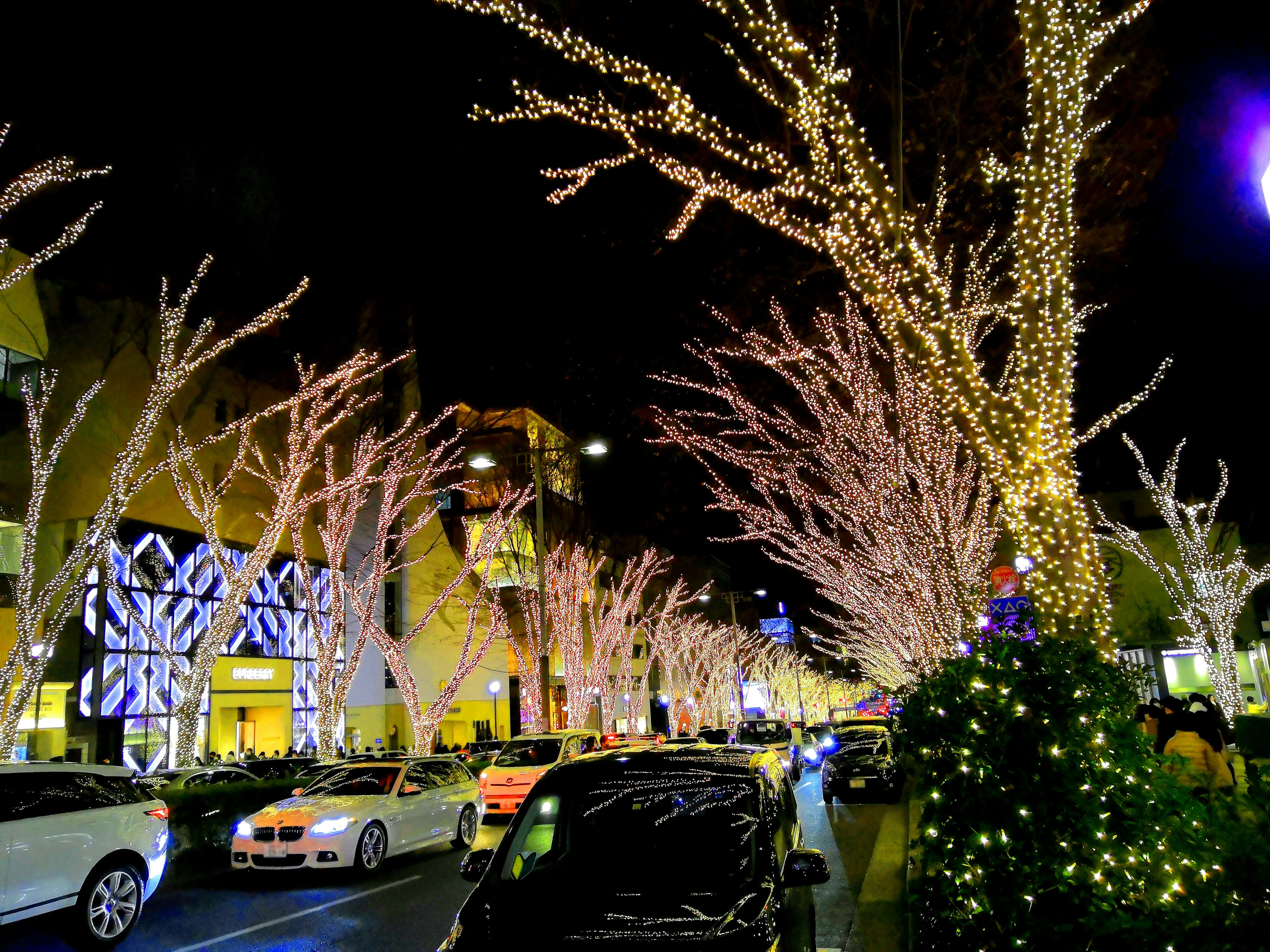 イルミネーションで彩られた街路樹と車の並ぶ夜景
