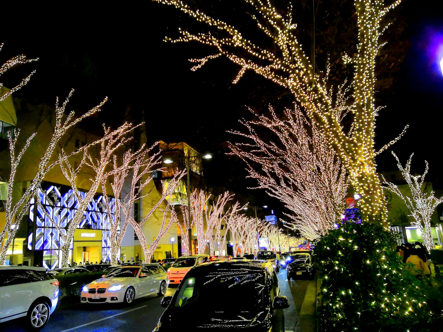 ถนนในเมืองที่ประดับด้วยไฟสีขาวบนต้นไม้ในตอนกลางคืน