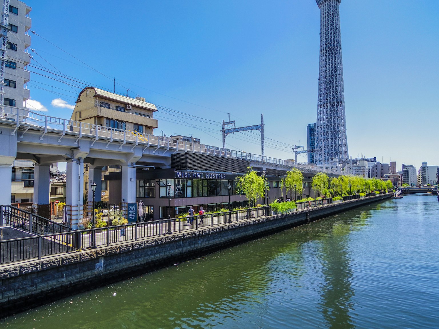 Pemandangan tepi sungai dengan Tokyo Skytree dan pohon hijau di bawah langit biru