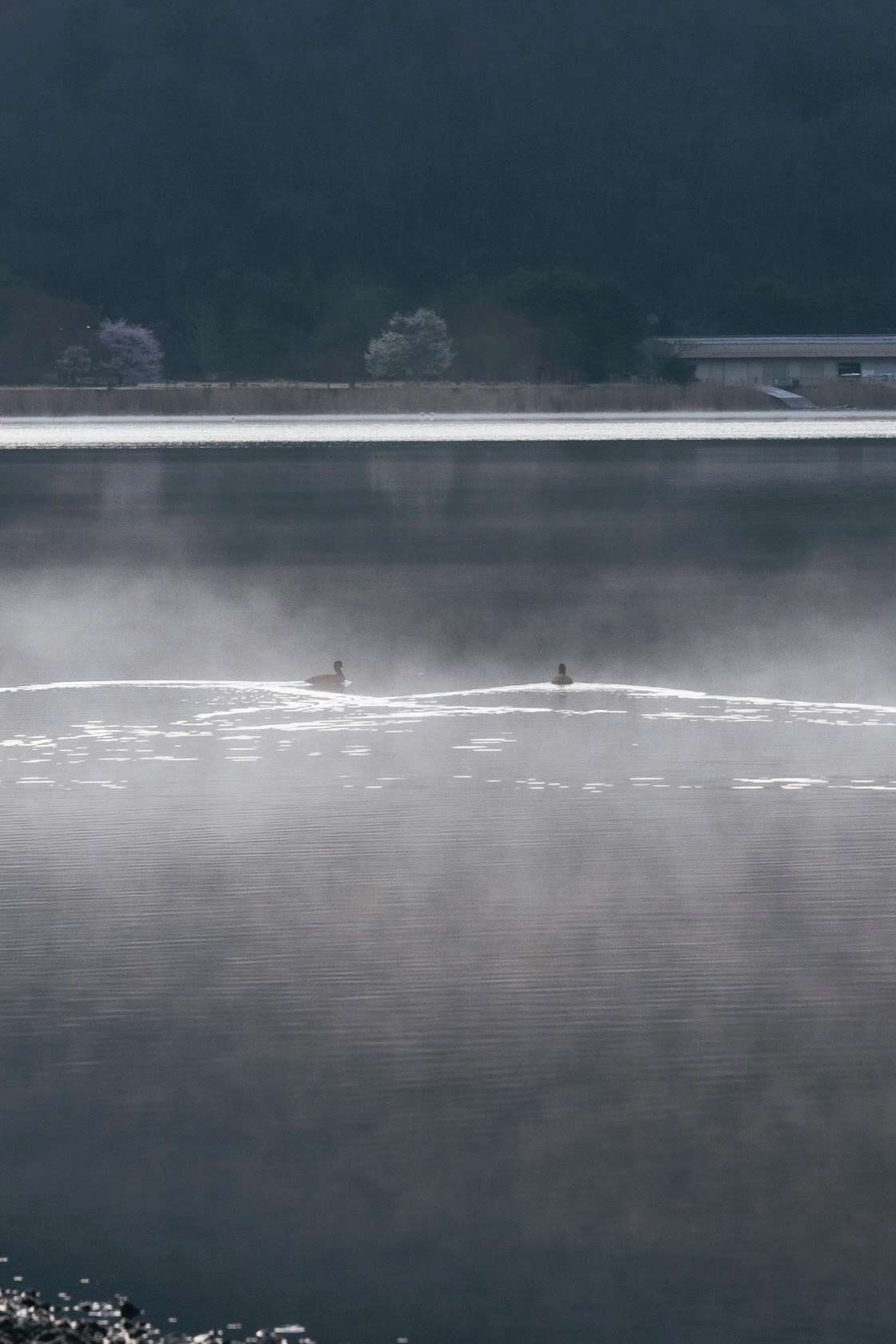 河口湖の湖面に広がる霧のような水面と対岸の景色