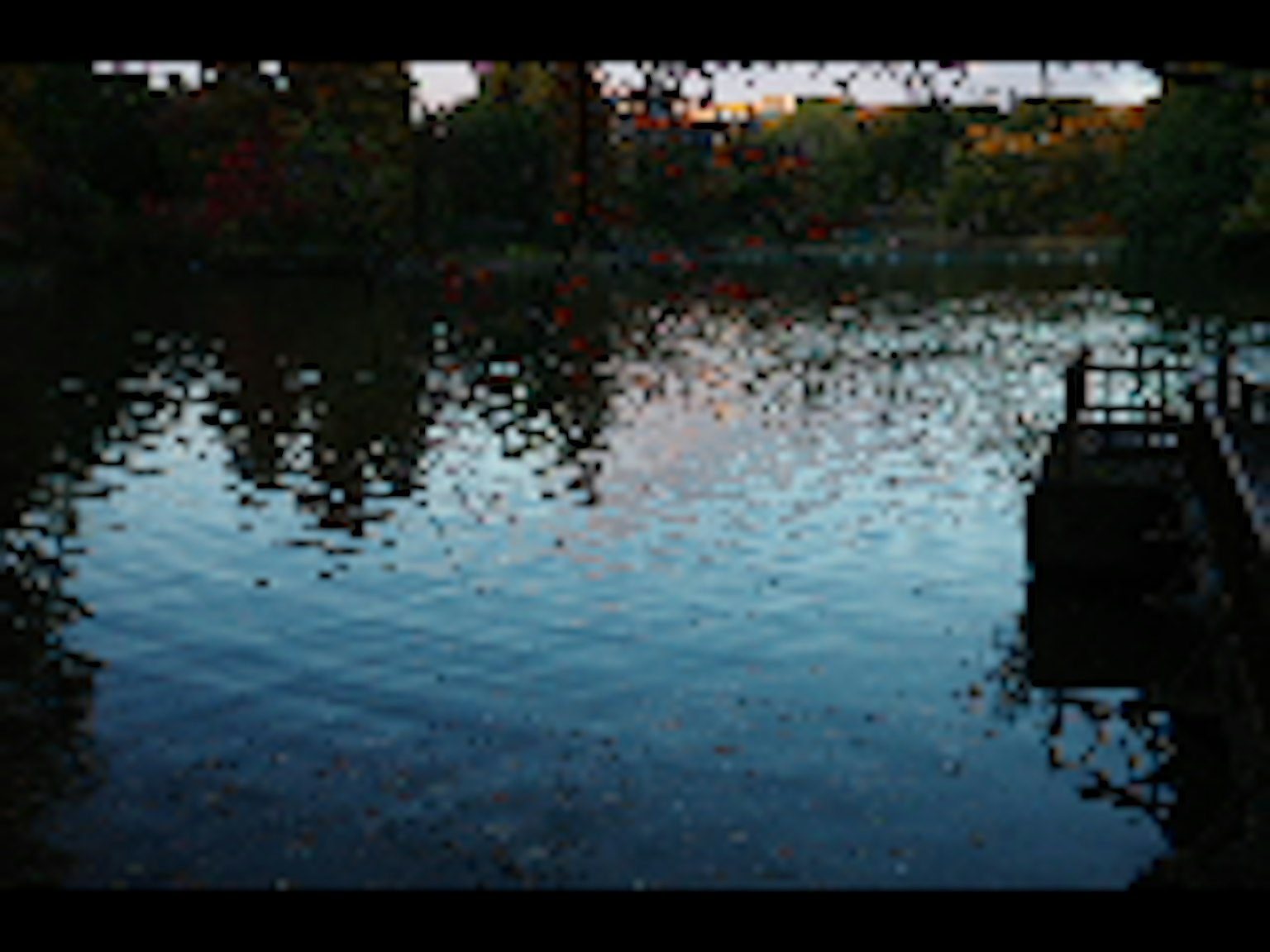 宁静的水面映射秋季风景和五彩斑斓的树木