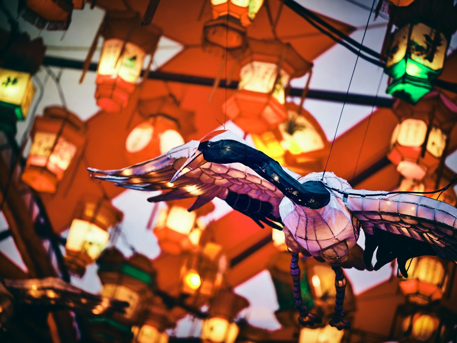 A beautiful crane lantern flying beneath colorful lanterns