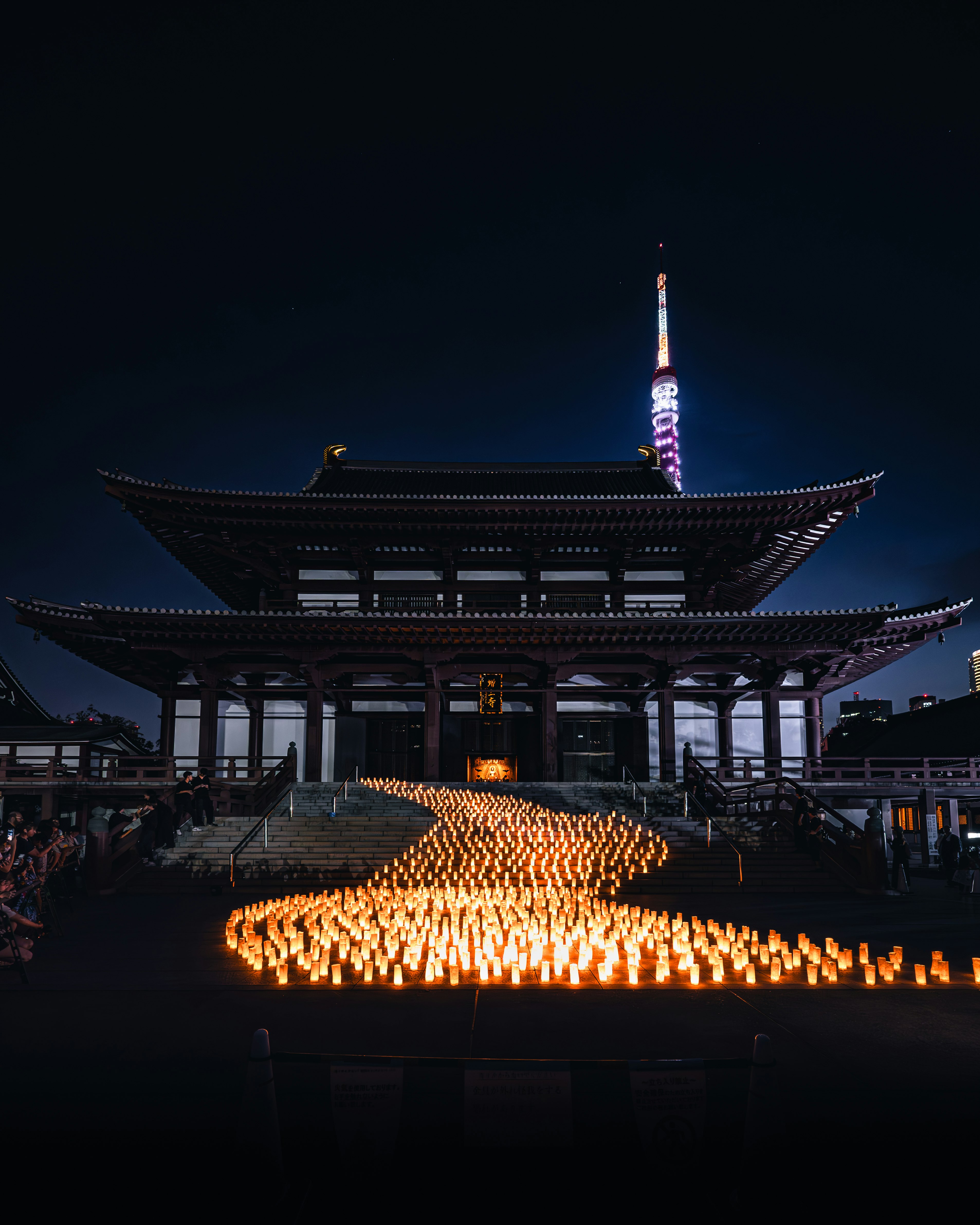 夜の灯りが並ぶ寺院の本堂と塔