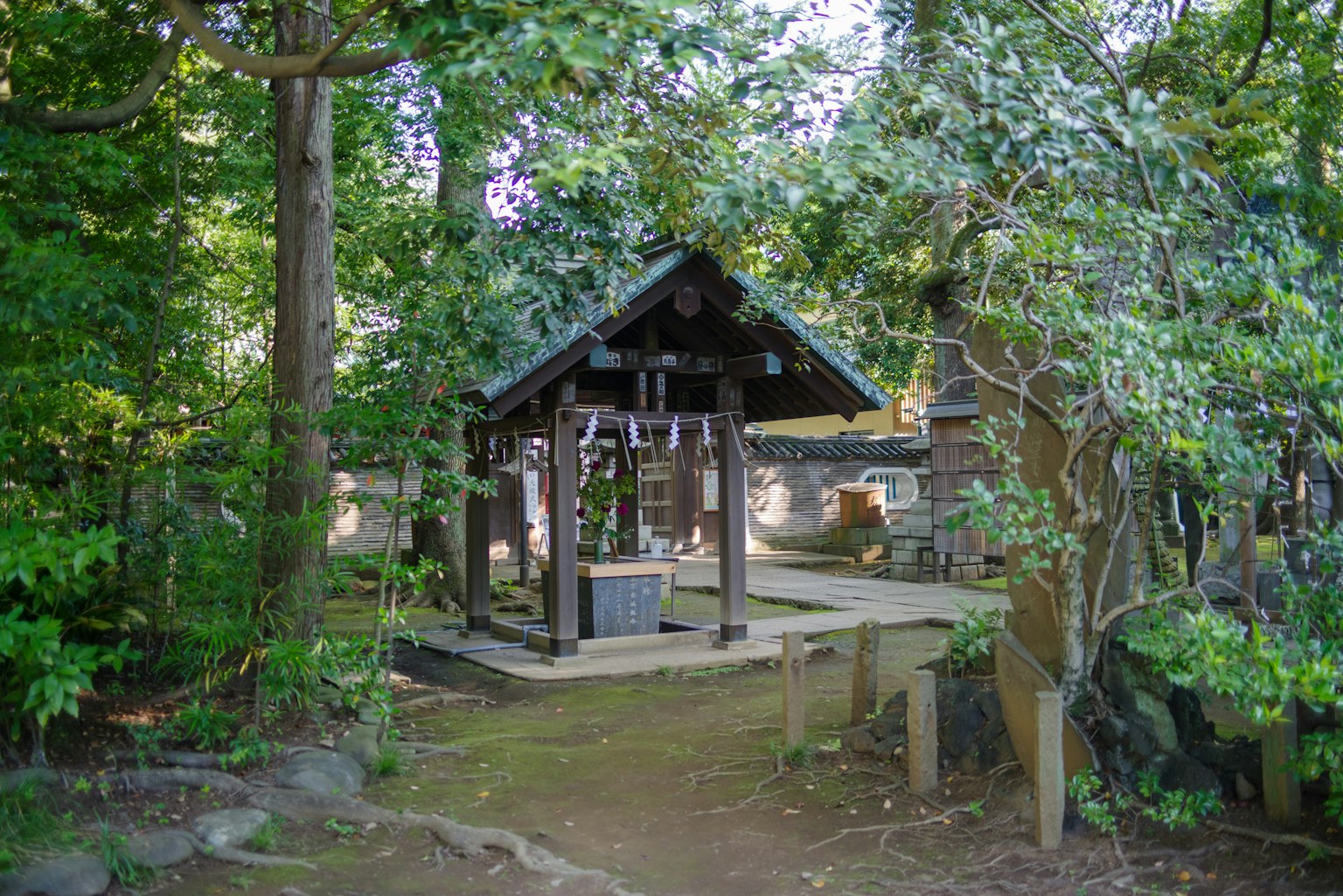 森林中嵌入的傳統神社結構