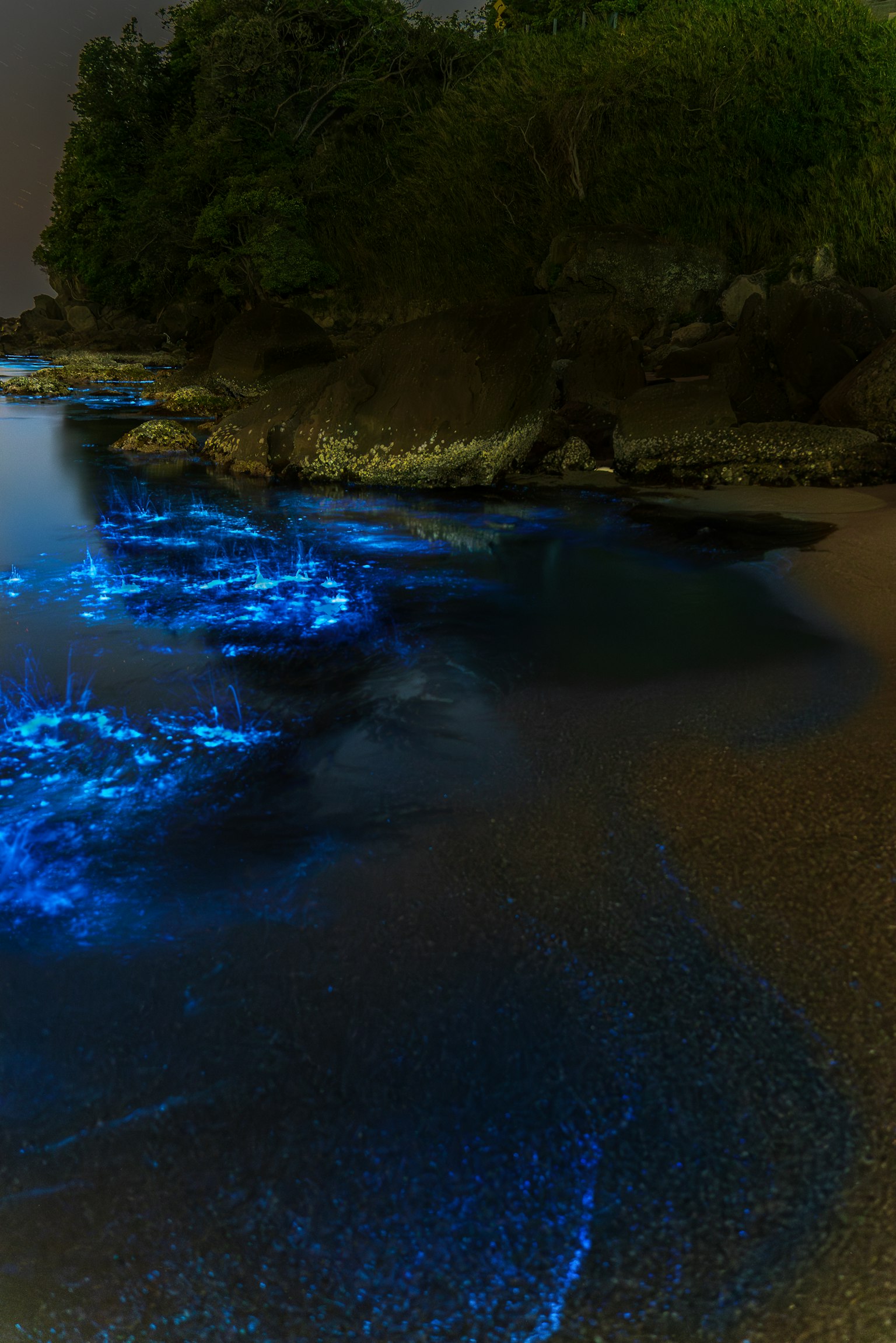 Pemandangan malam pantai dengan air biru bercahaya tanaman dan batu