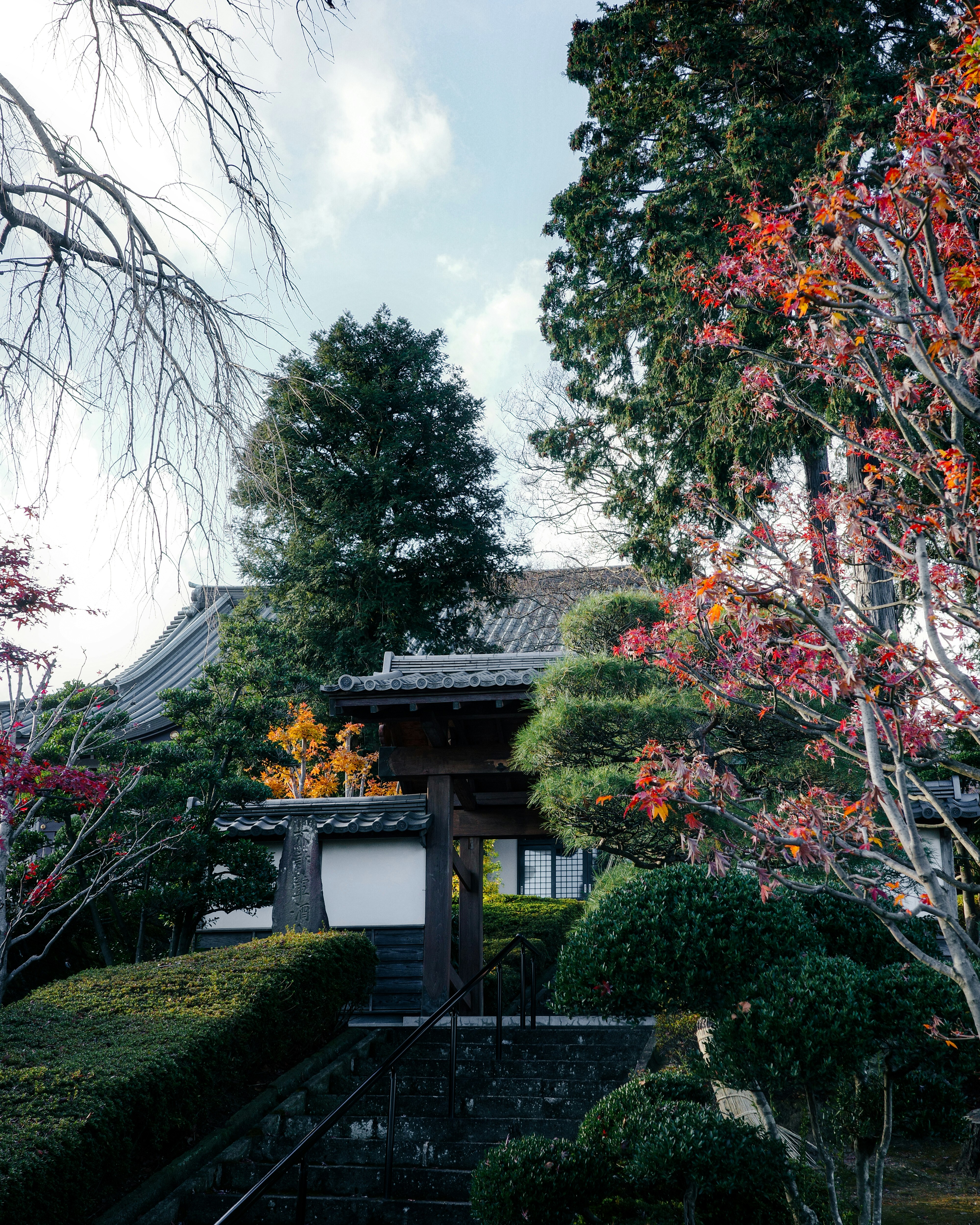 庭園の石段と色づく木々のある和風建物の景観