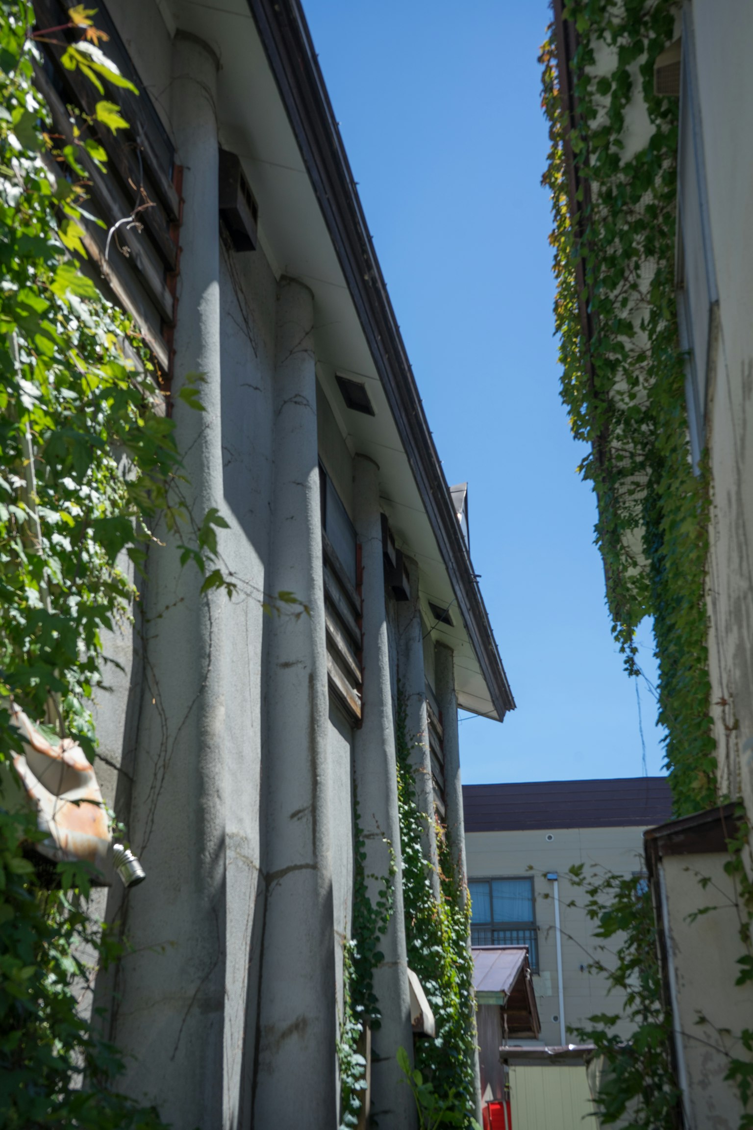 Betongebäude, das von grünen Ranken bedeckt ist, unter einem klaren blauen Himmel
