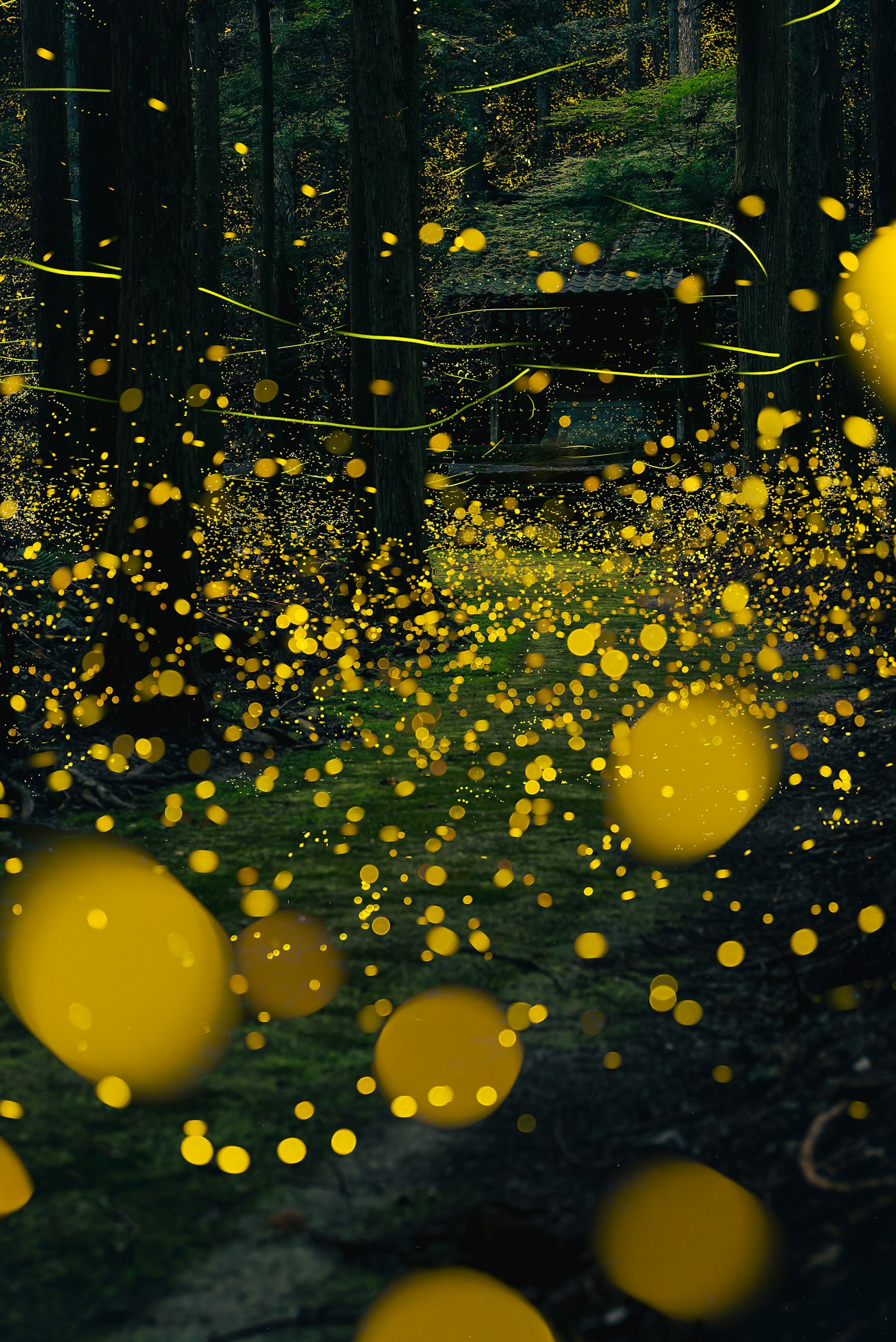 photo-0I9ucOIIULuFSvxF9d0G-image