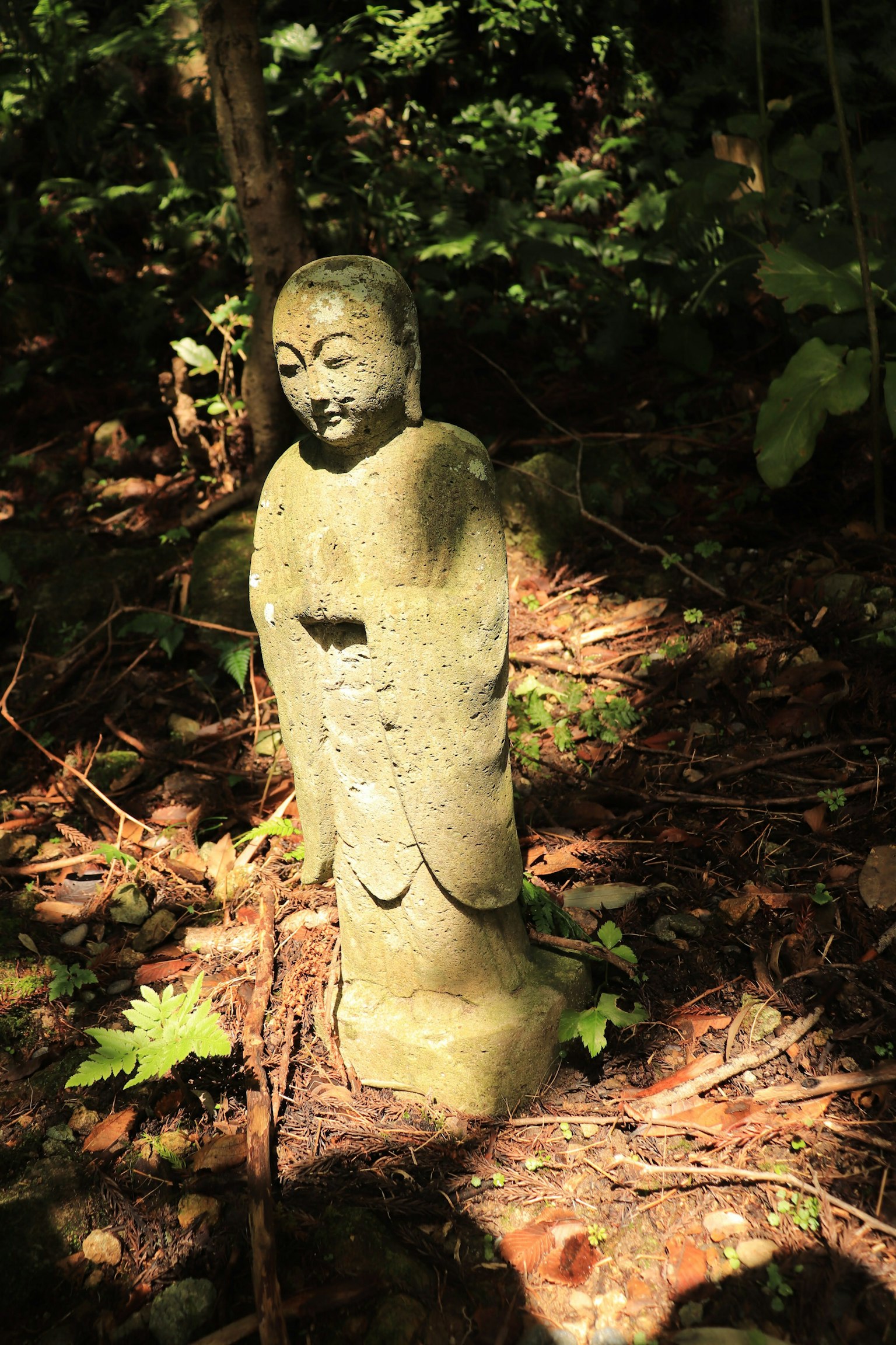 Statue de Bouddha en pierre entourée de feuilles vertes dans une forêt
