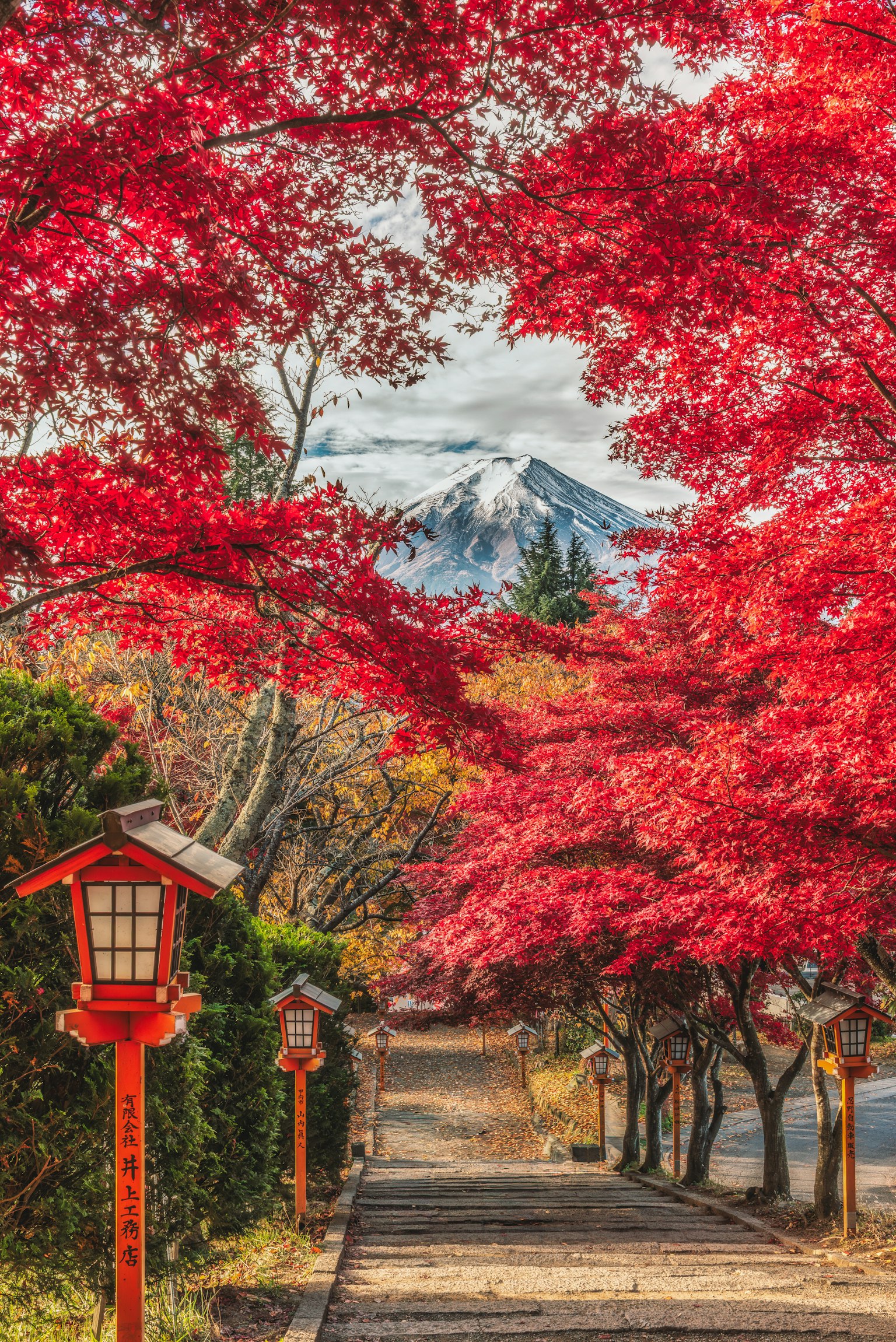 赤い紅葉に囲まれた小道と雪をかぶった山の風景