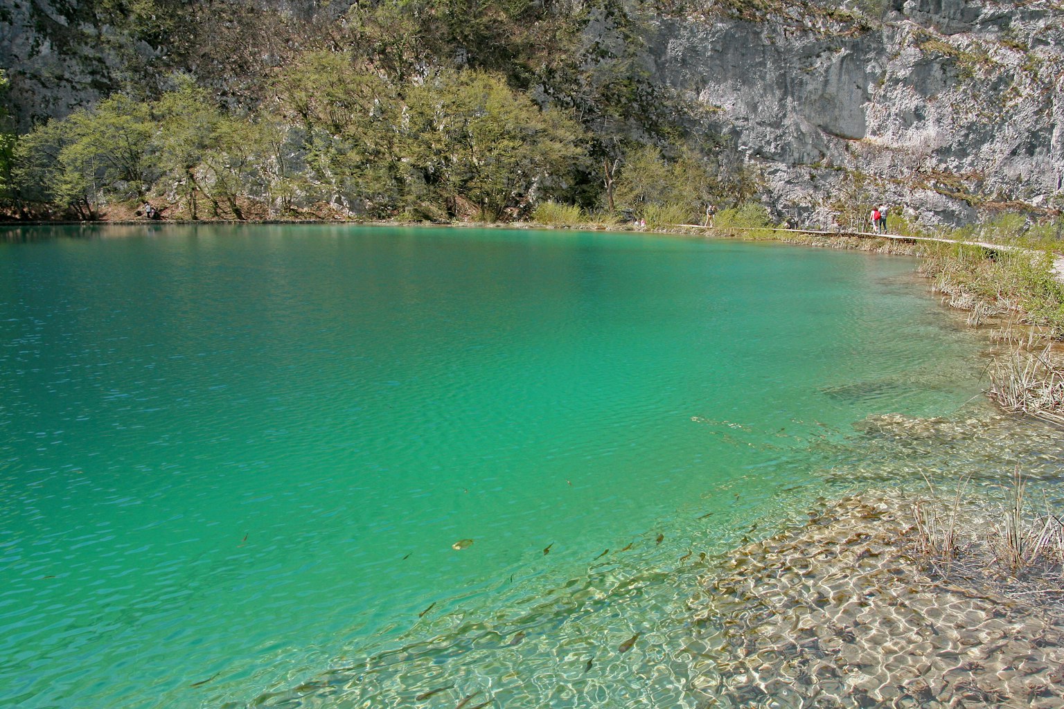 ทะเลสาบสีเขียวมรกตที่สวยงามพร้อมภูเขาหินรอบข้าง