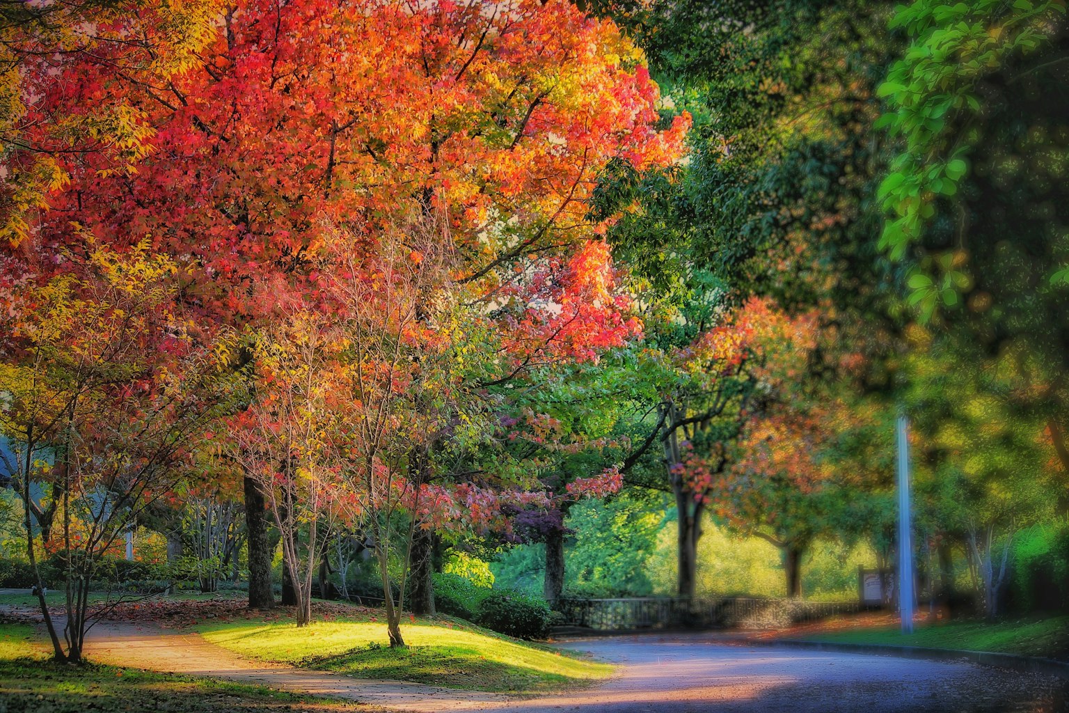 Malersicher Weg gesäumt von lebhaften Herbstbäumen